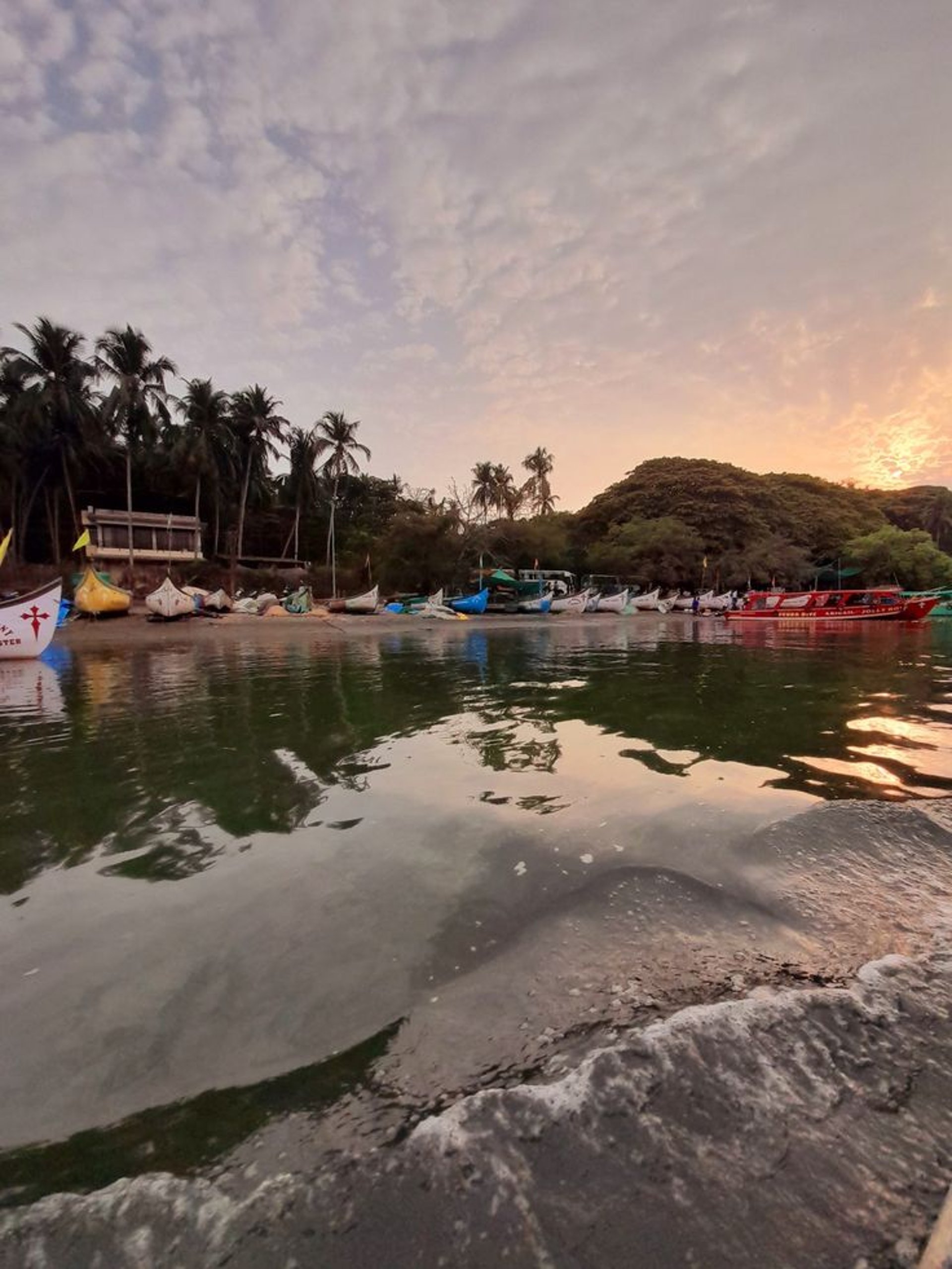 people on beach during daytime