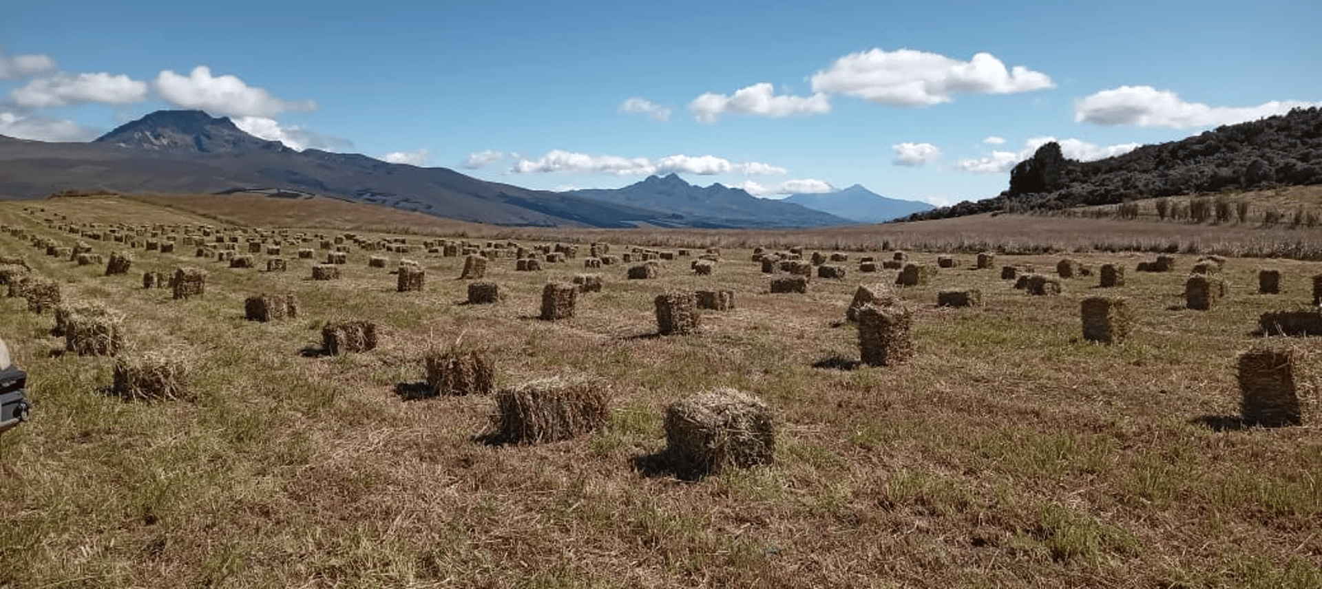water falls in the forest