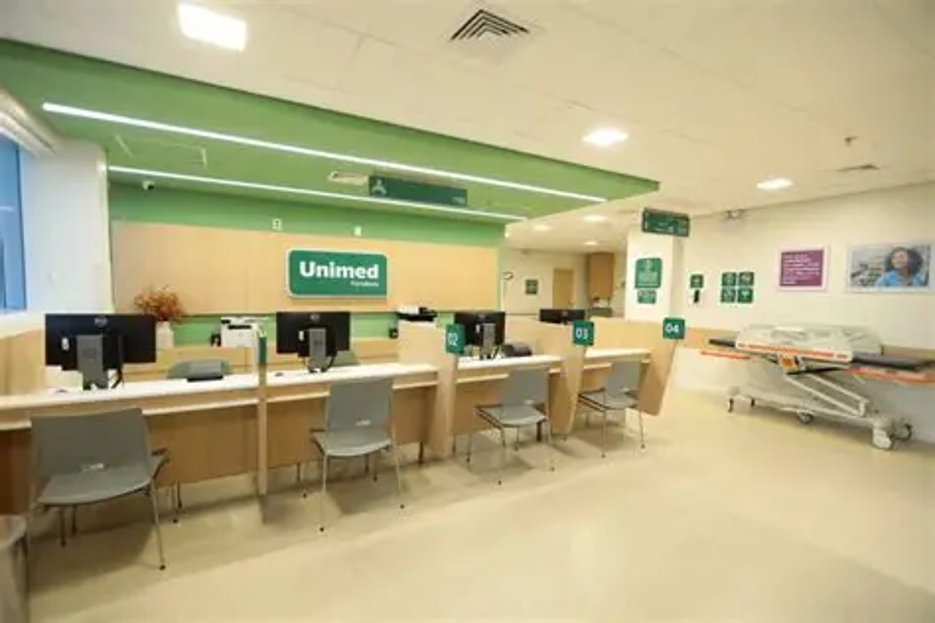 person sitting while using laptop computer and green stethoscope near