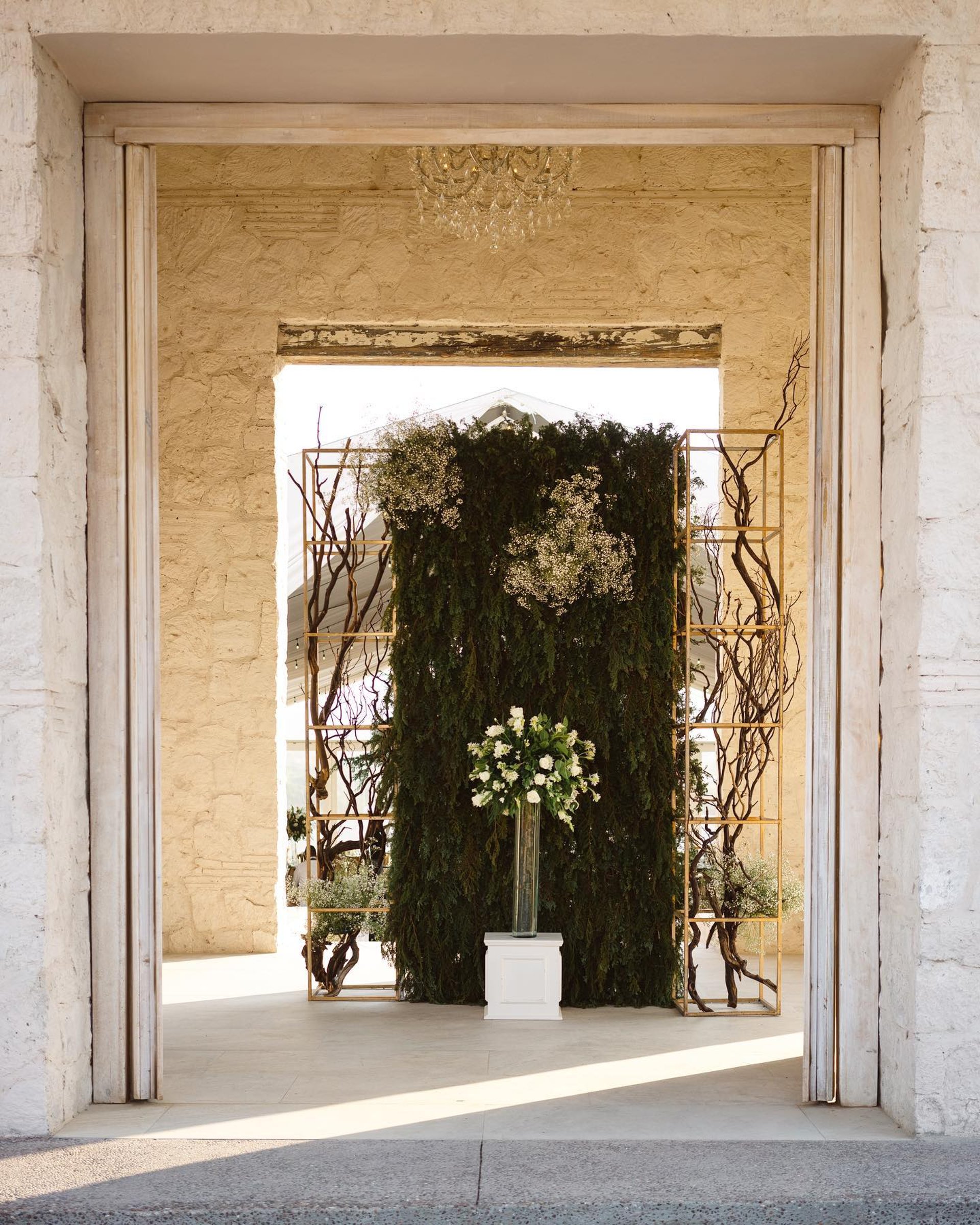 brown wooden bridge with green plants
