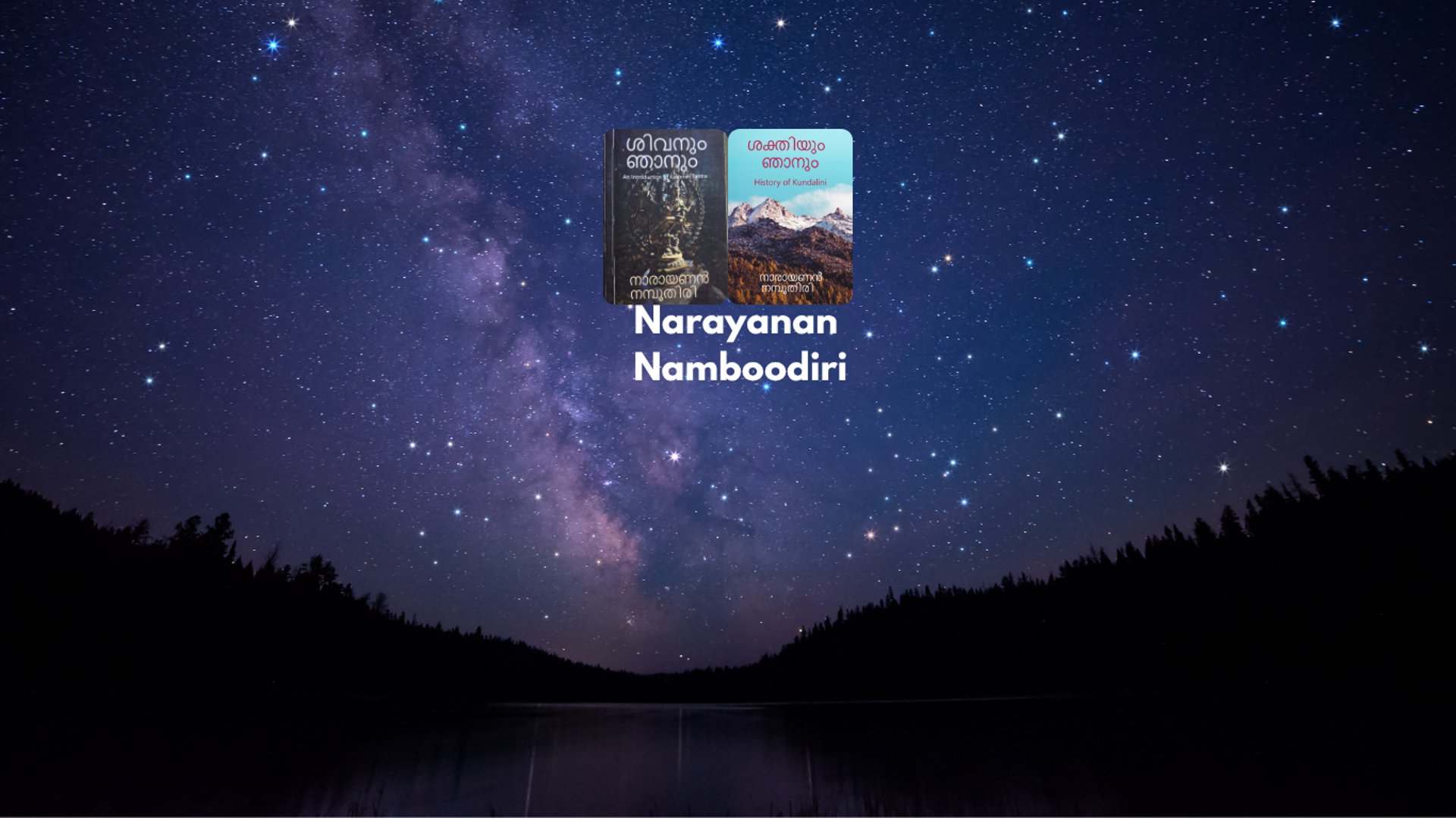 black and brown leather padded tub sofa