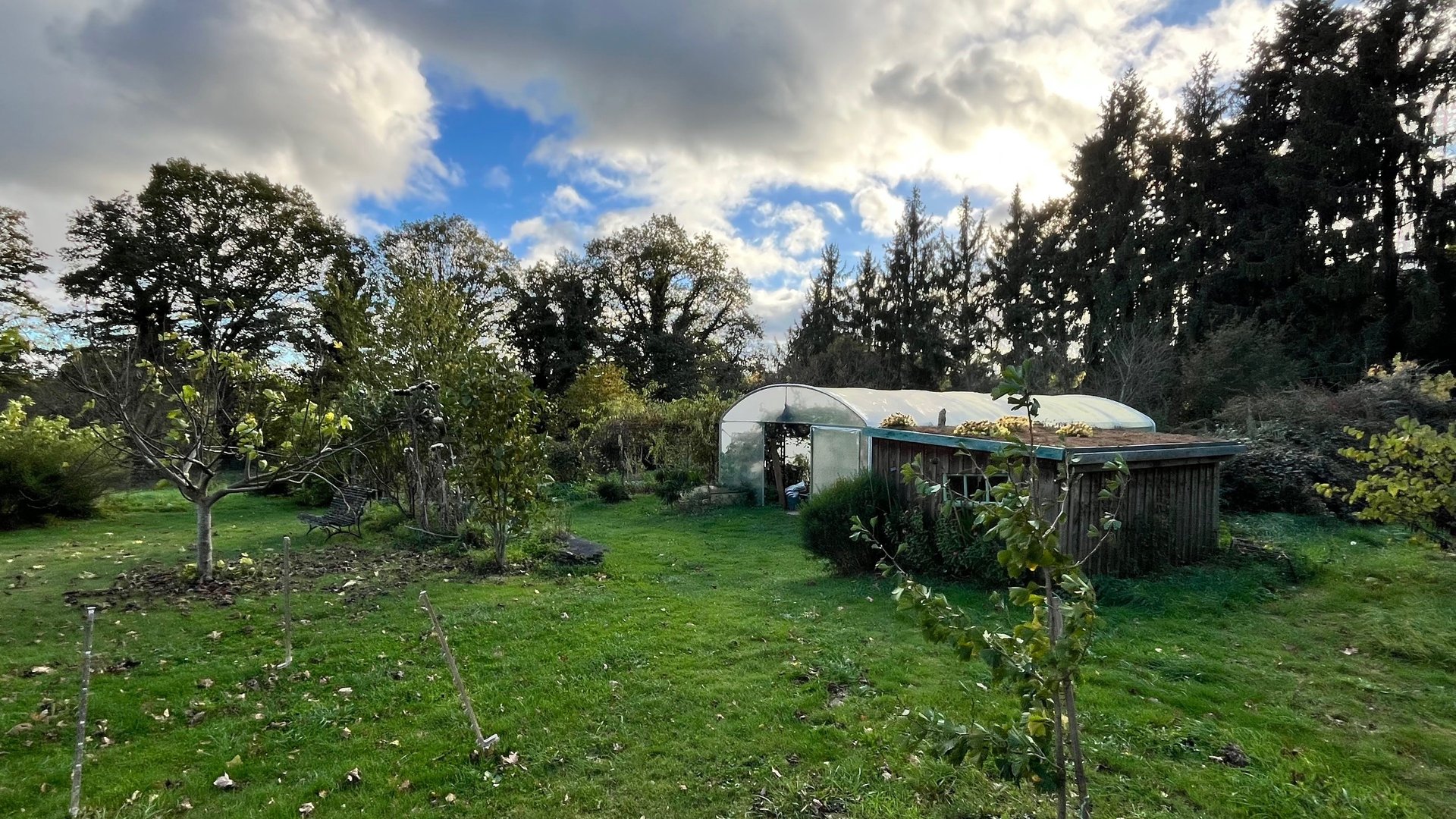 road in between brown wooden fences