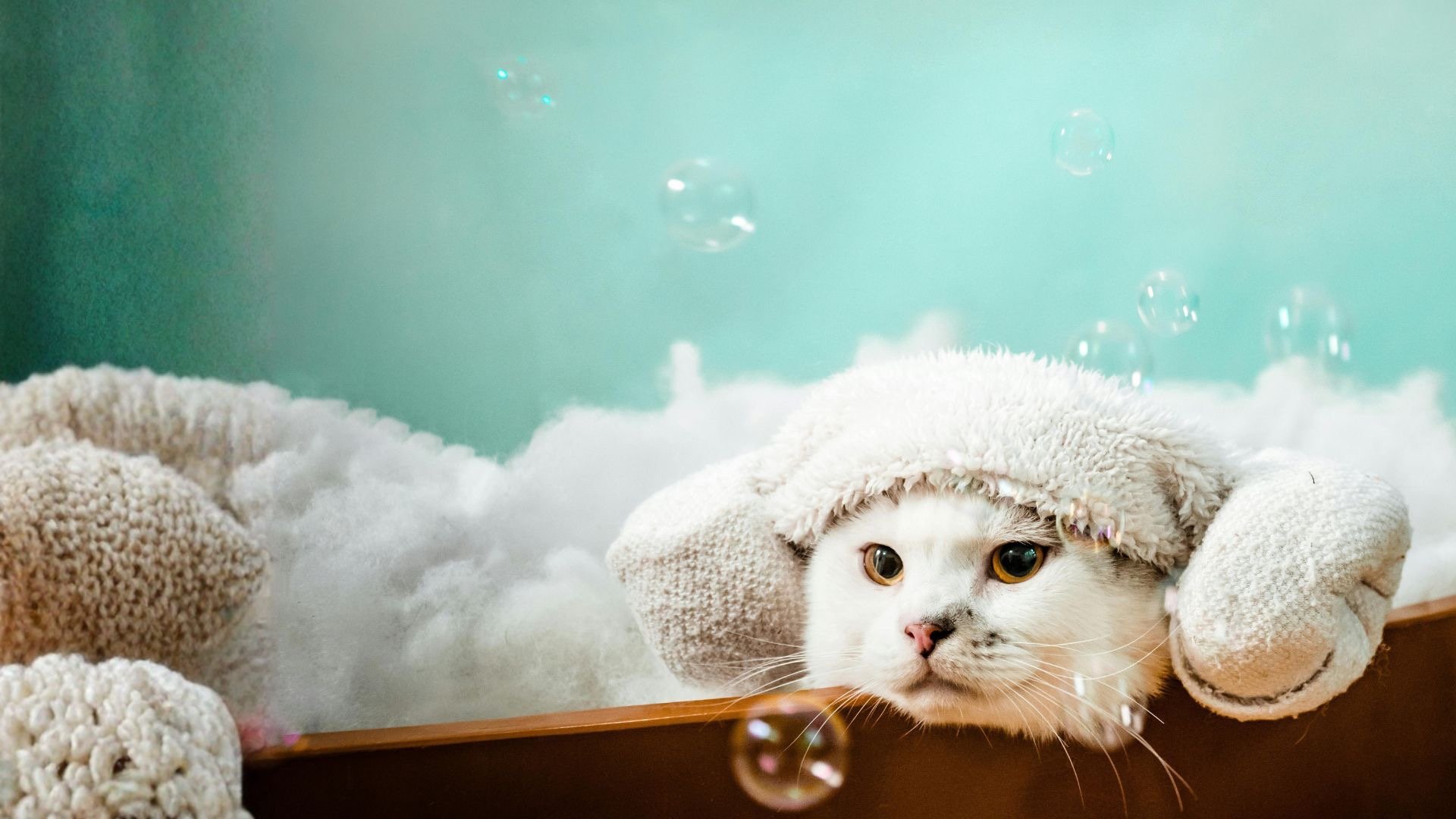 black and white bed linen