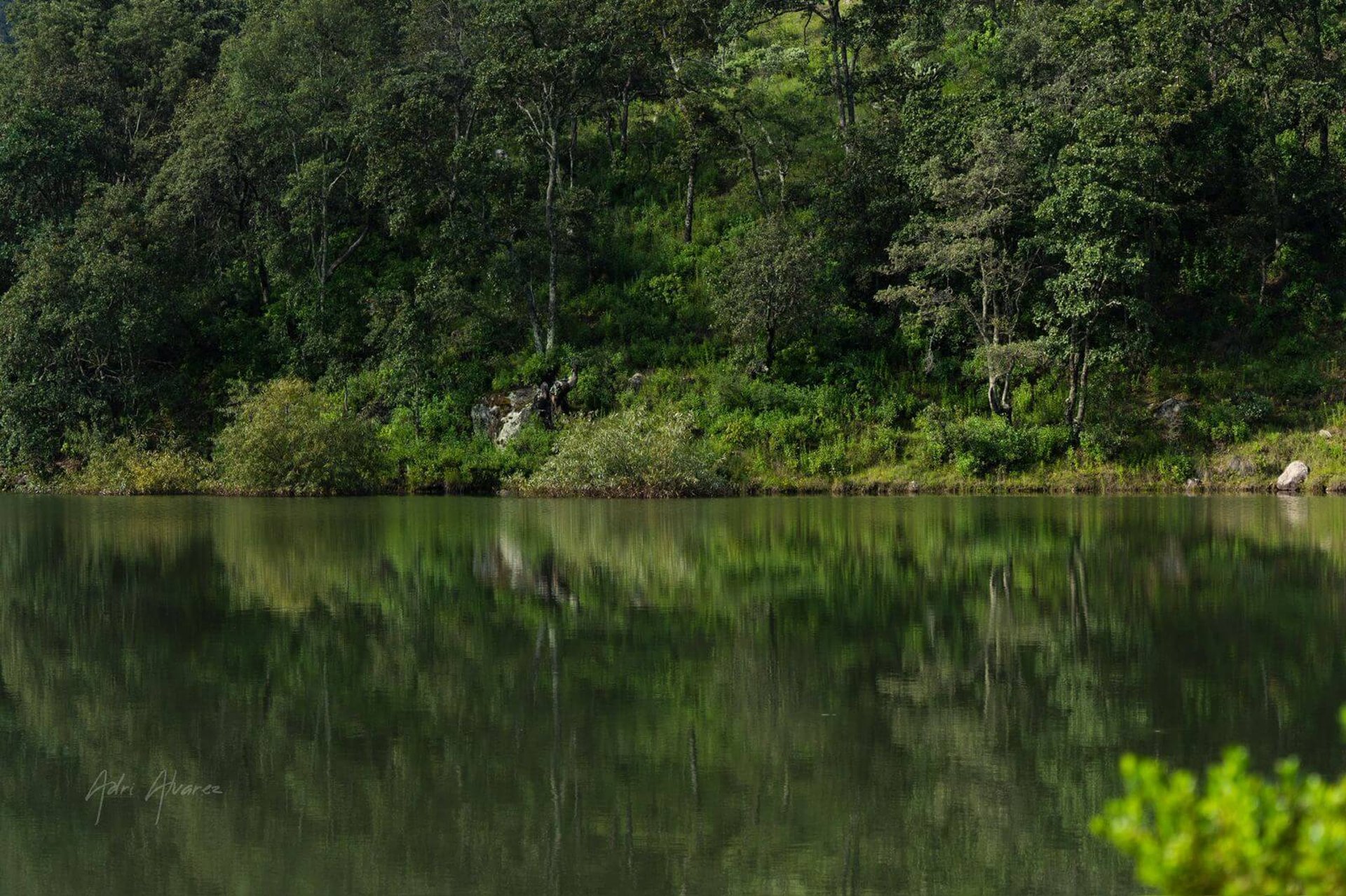 gray computer monitor