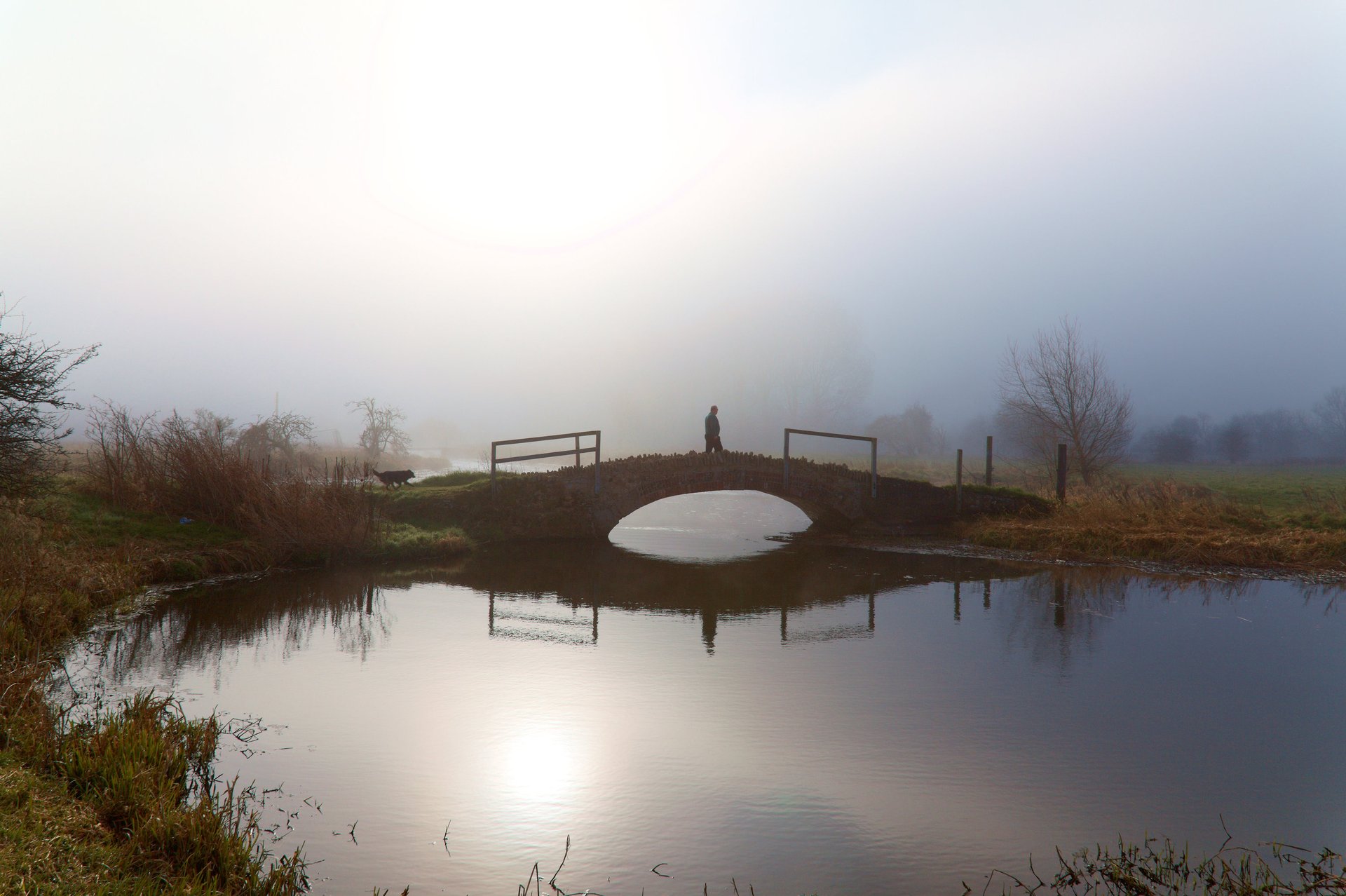 gray computer monitor