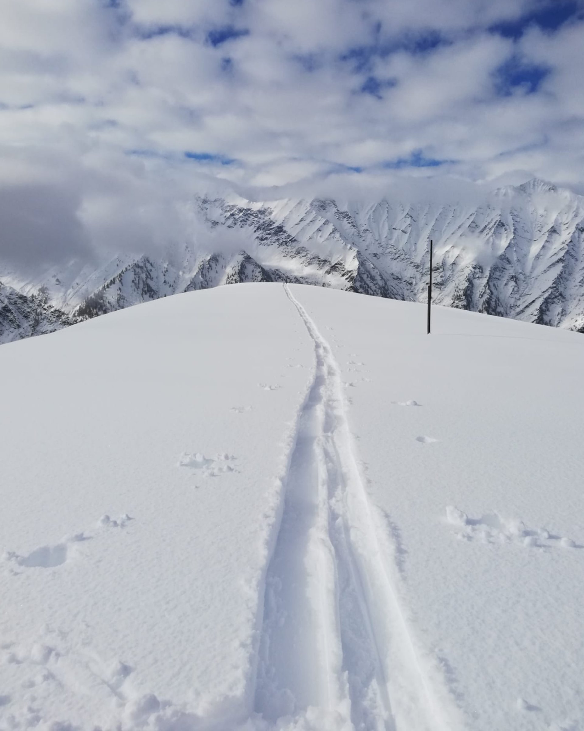 an abstract photo of a curved building with a blue sky in the background
