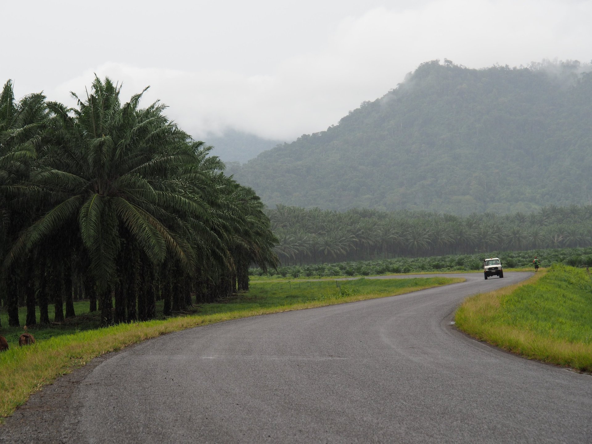 black and brown leather padded tub sofa