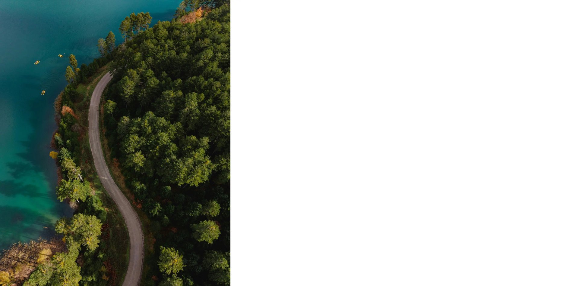 body of water surrounded by pine trees during daytime