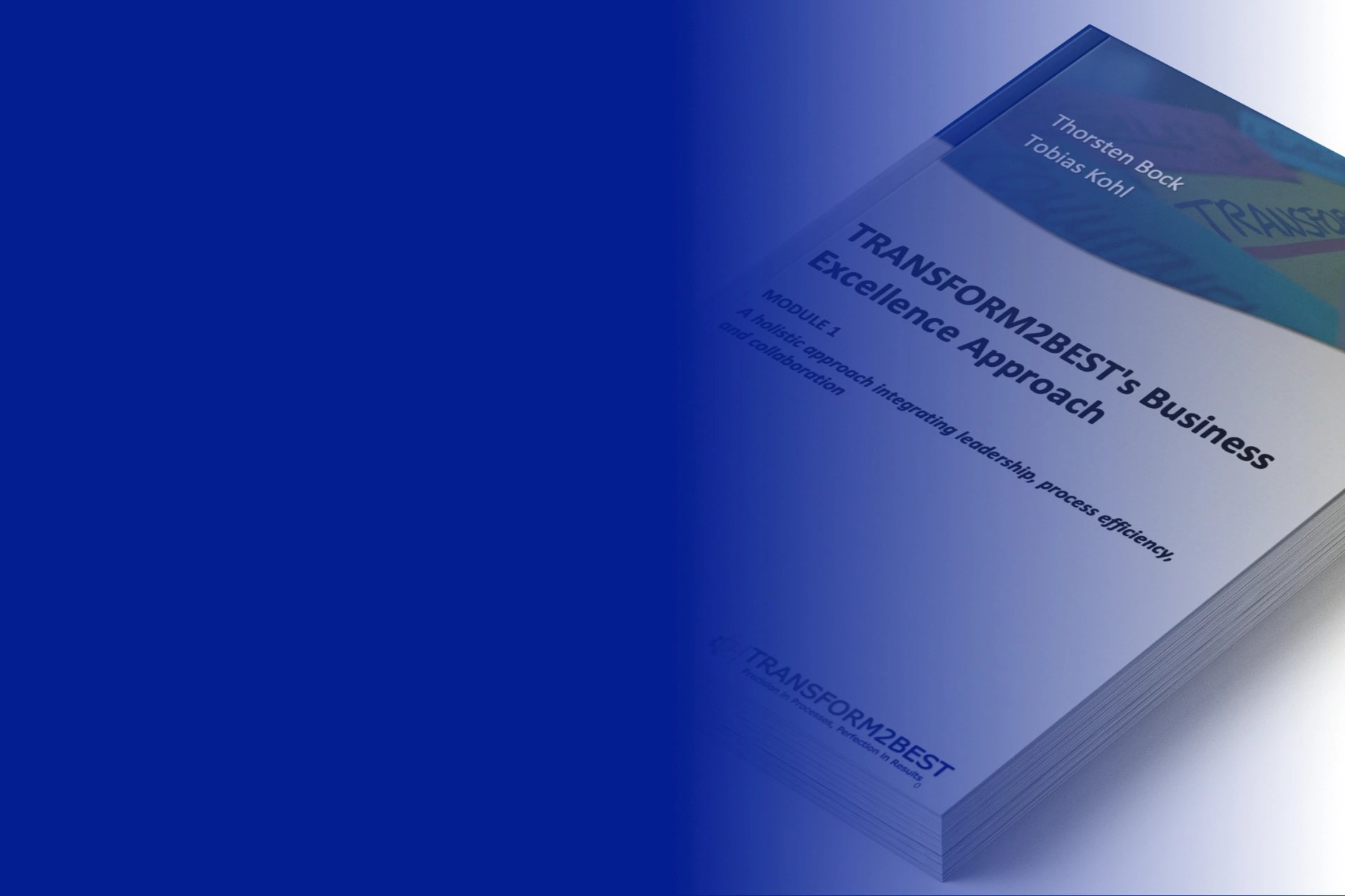 Transform2Best Lean Six Sigma handbook covering business excellence, leadership and process improvement.