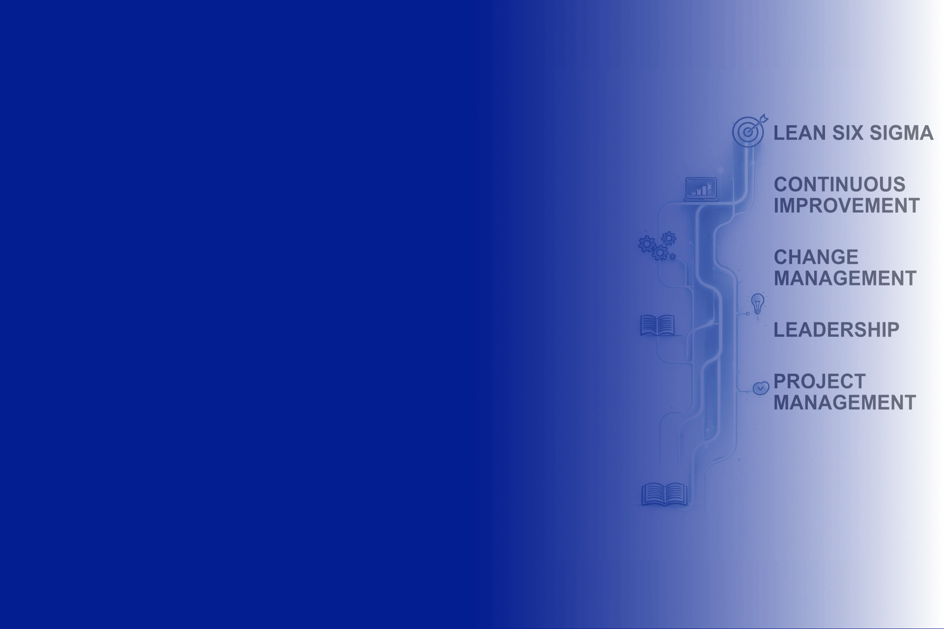 Business transformation through Lean Six Sigma, leadership, project management and change management.