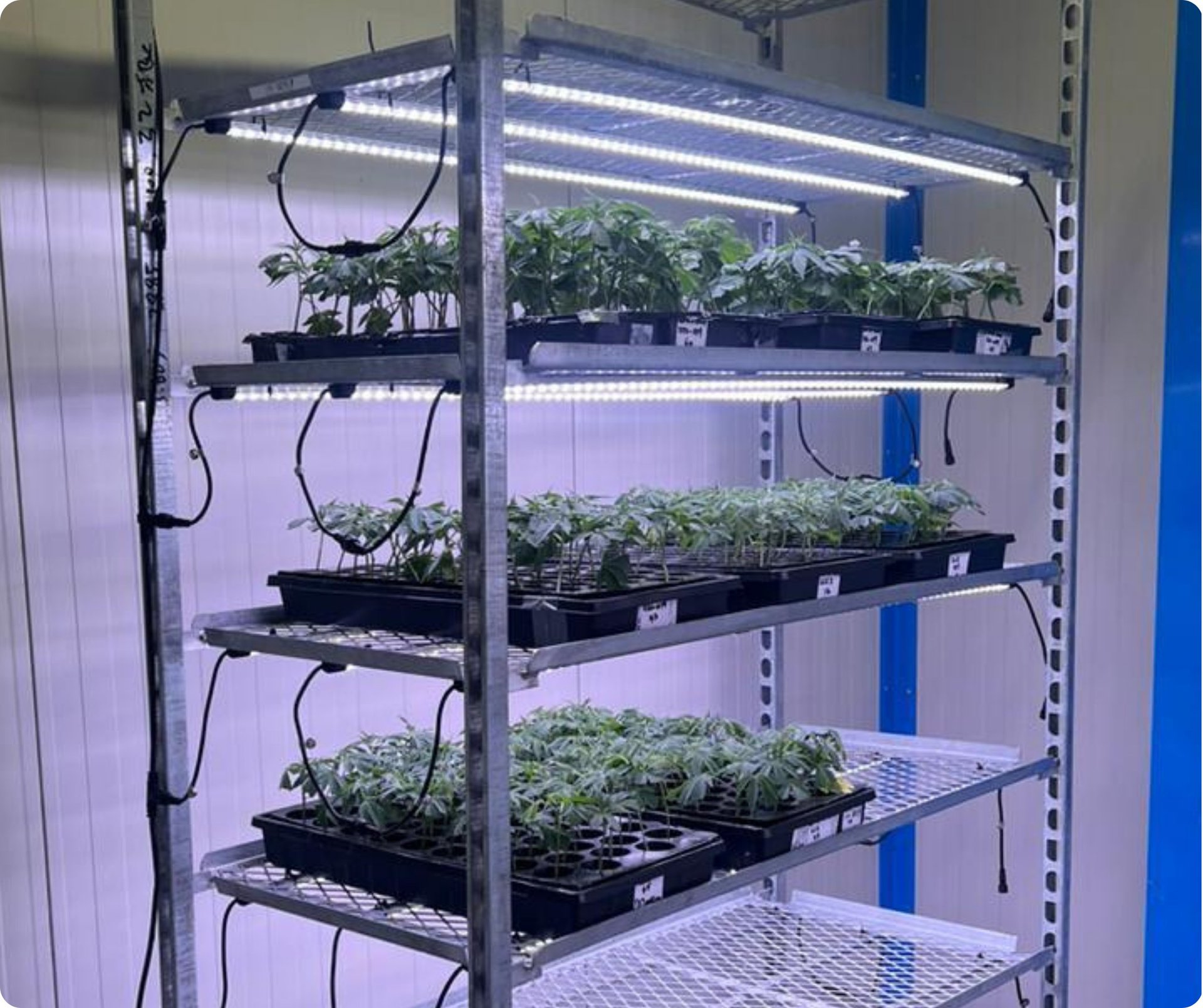 gray computer monitor