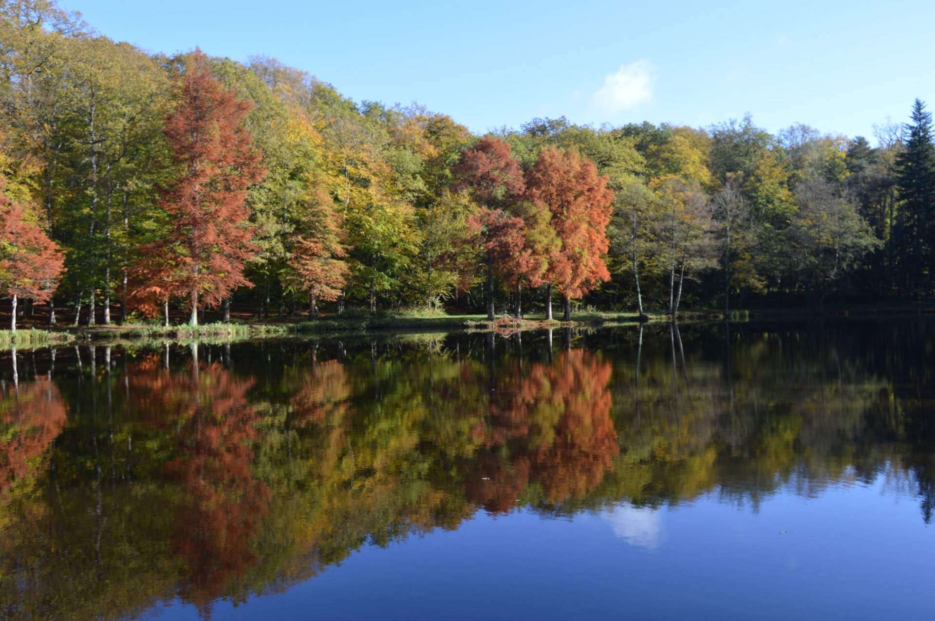 black and brown leather padded tub sofa