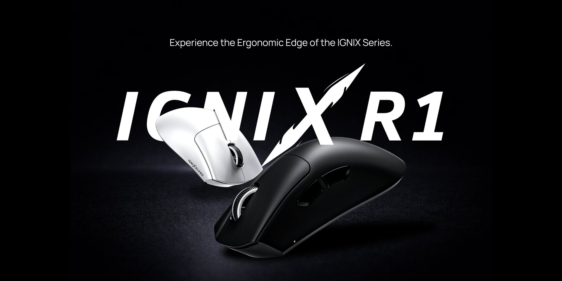 woman holding dried flower