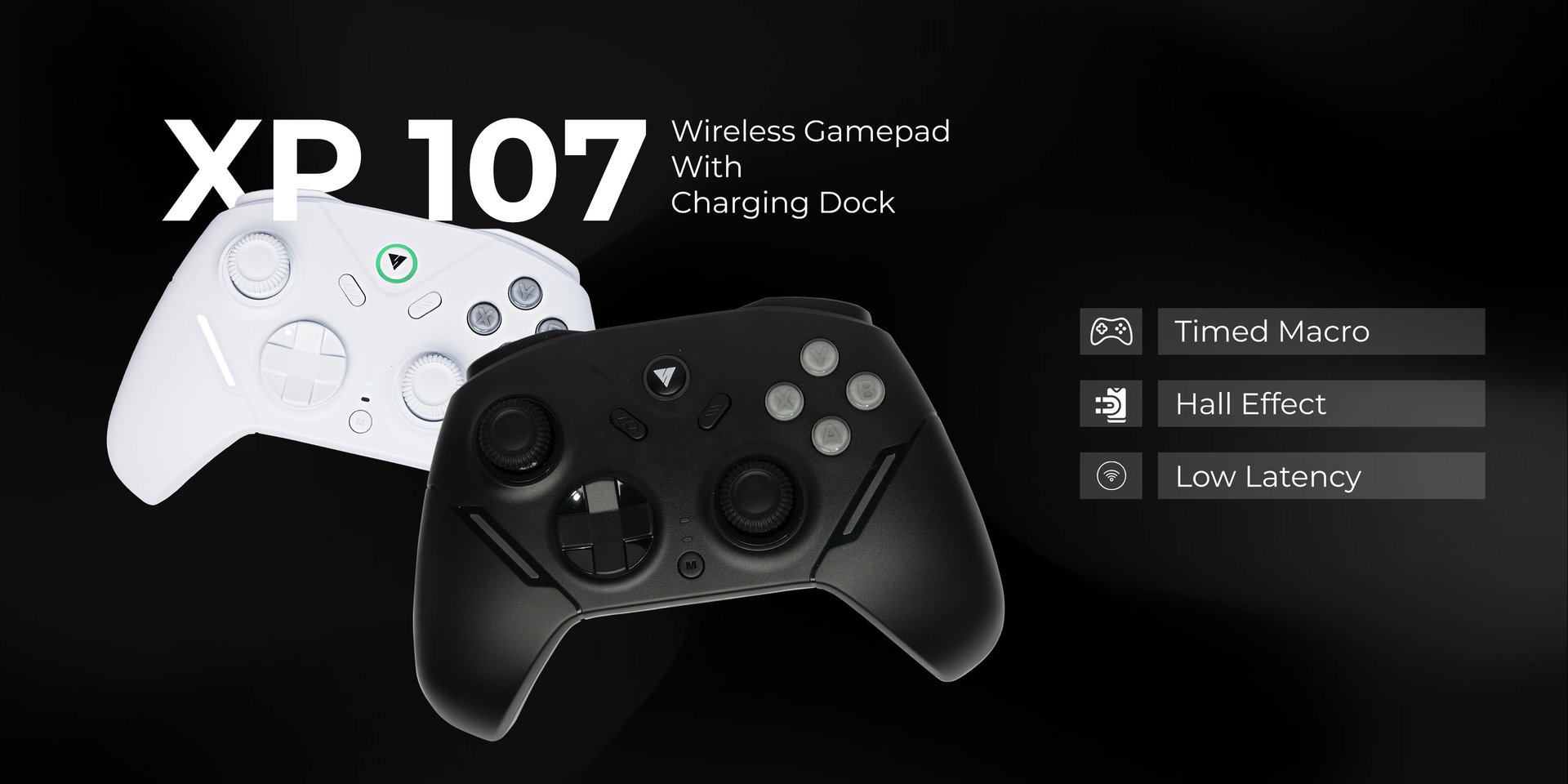 woman holding dried flower