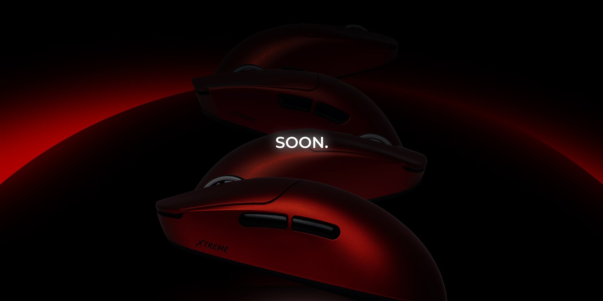 woman holding dried flower