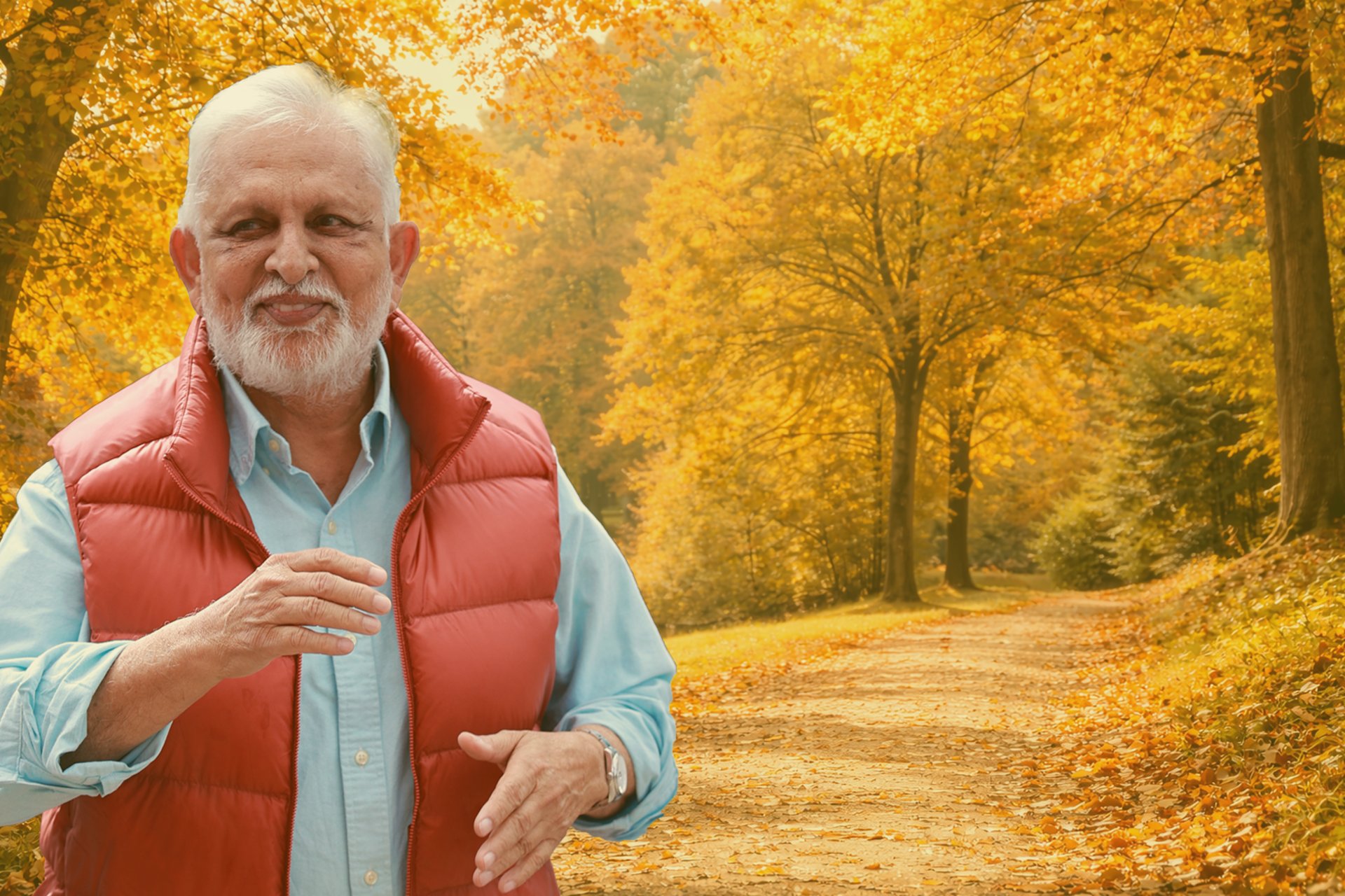 yellow sunflower field during daytime