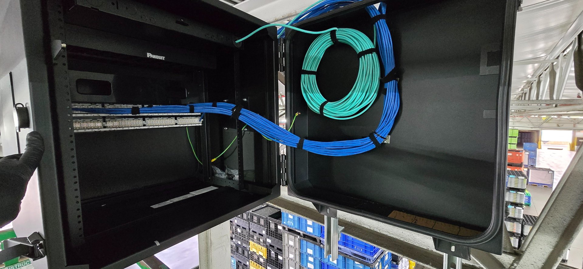 blue UTP cord