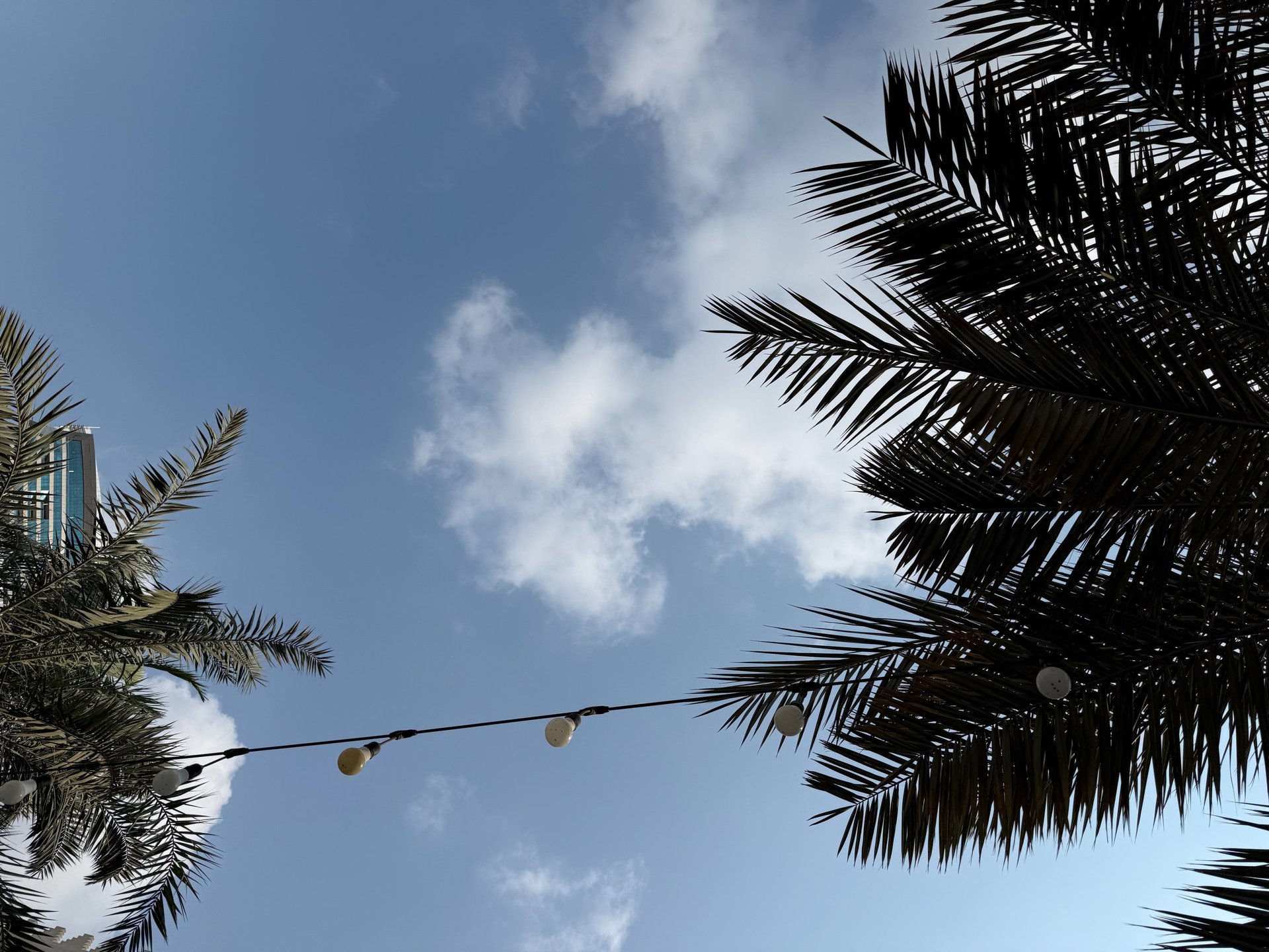 woman wearing yellow long-sleeved dress under white clouds and blue sky during daytime