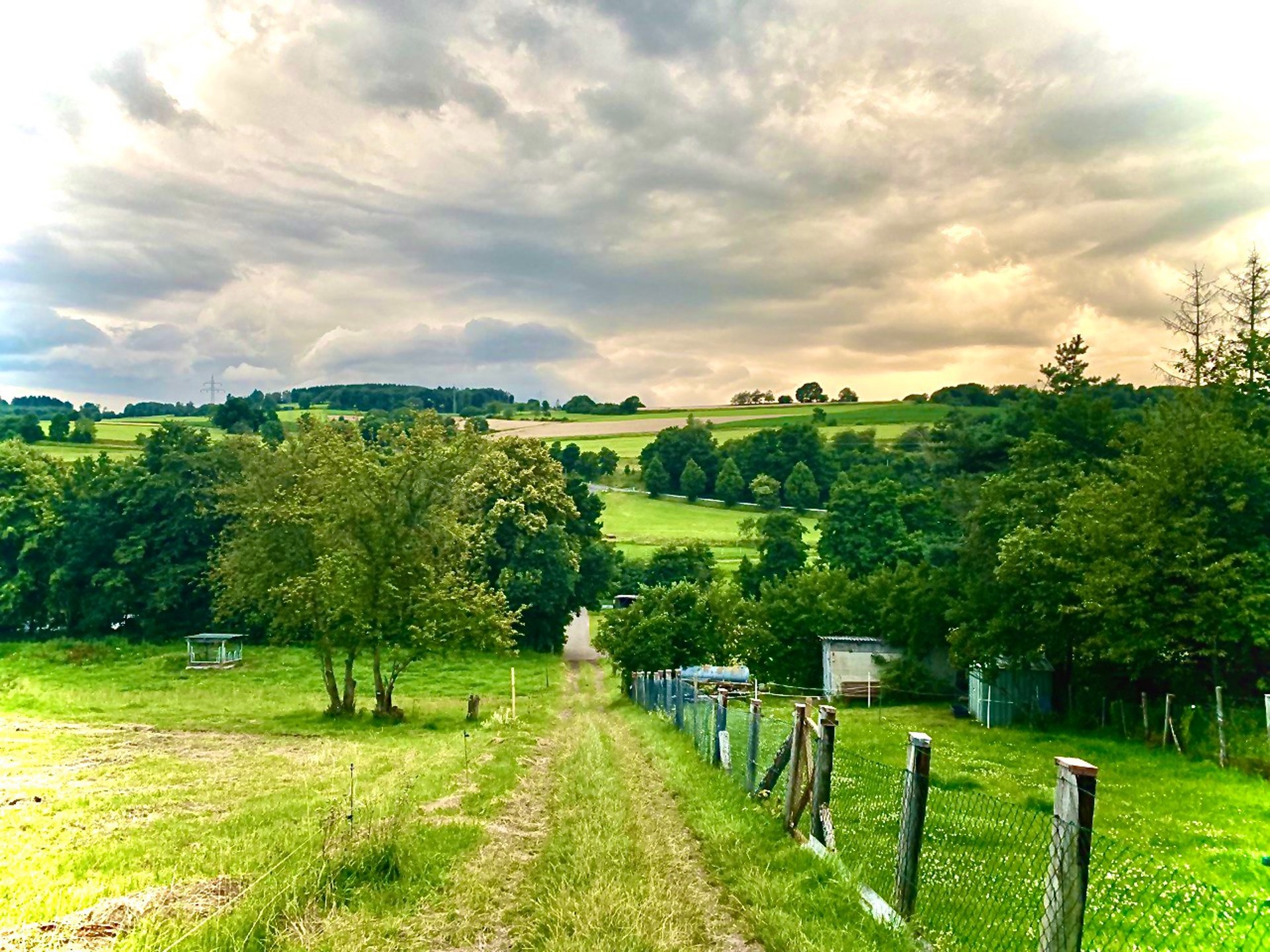 black and brown leather padded tub sofa