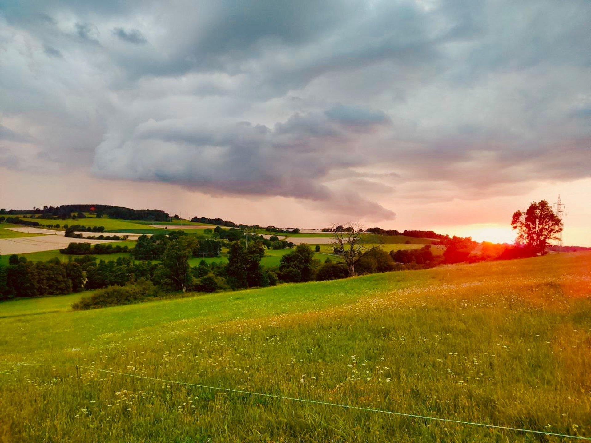 gray computer monitor