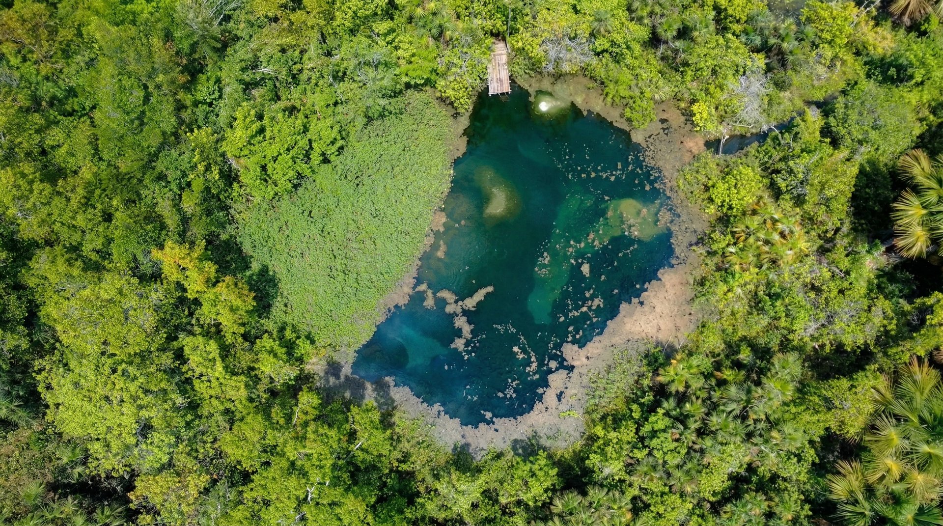 black and brown leather padded tub sofa