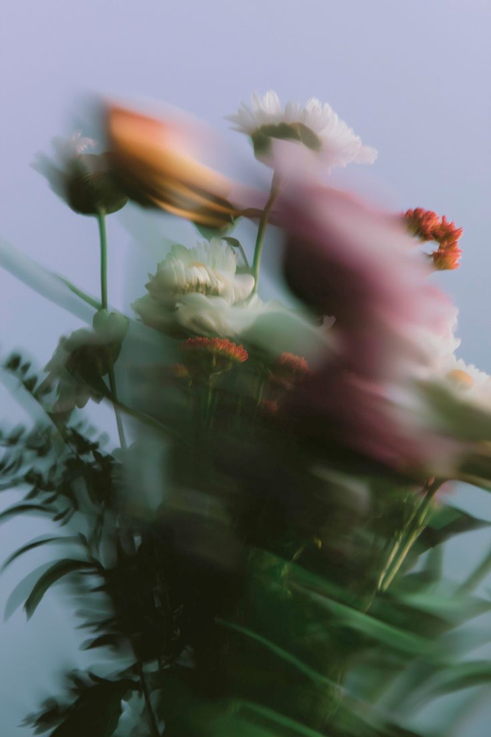 black blue and yellow textile