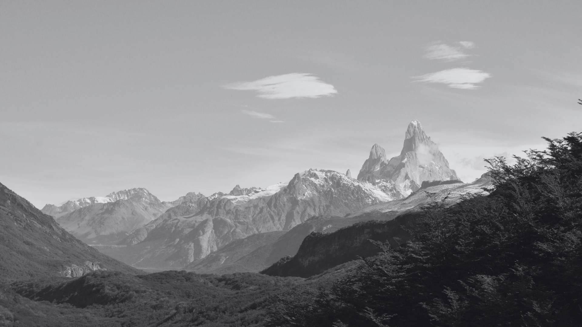 woman crossing pedestrian lane between tall buildings