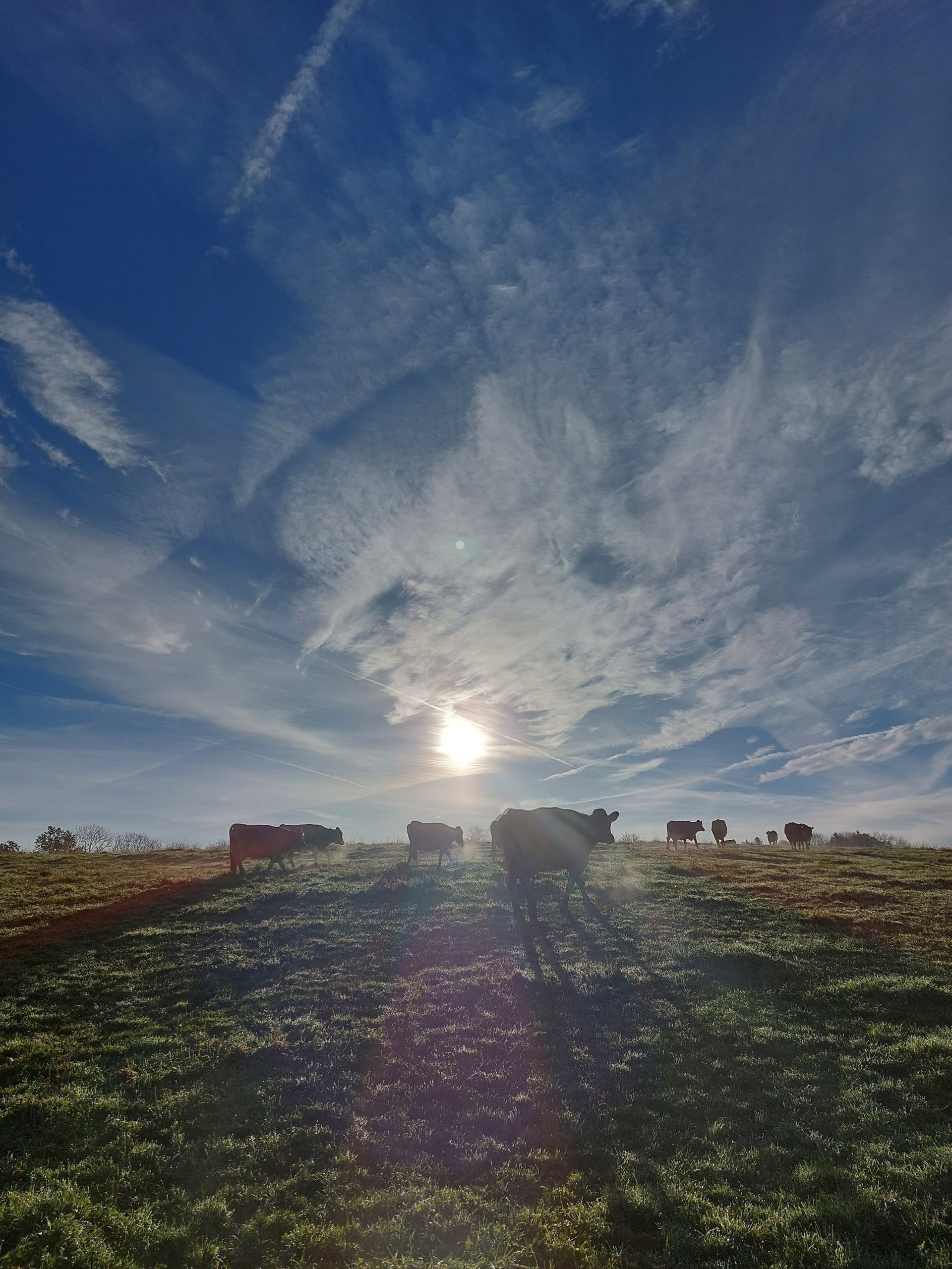 mountain range under blue sky