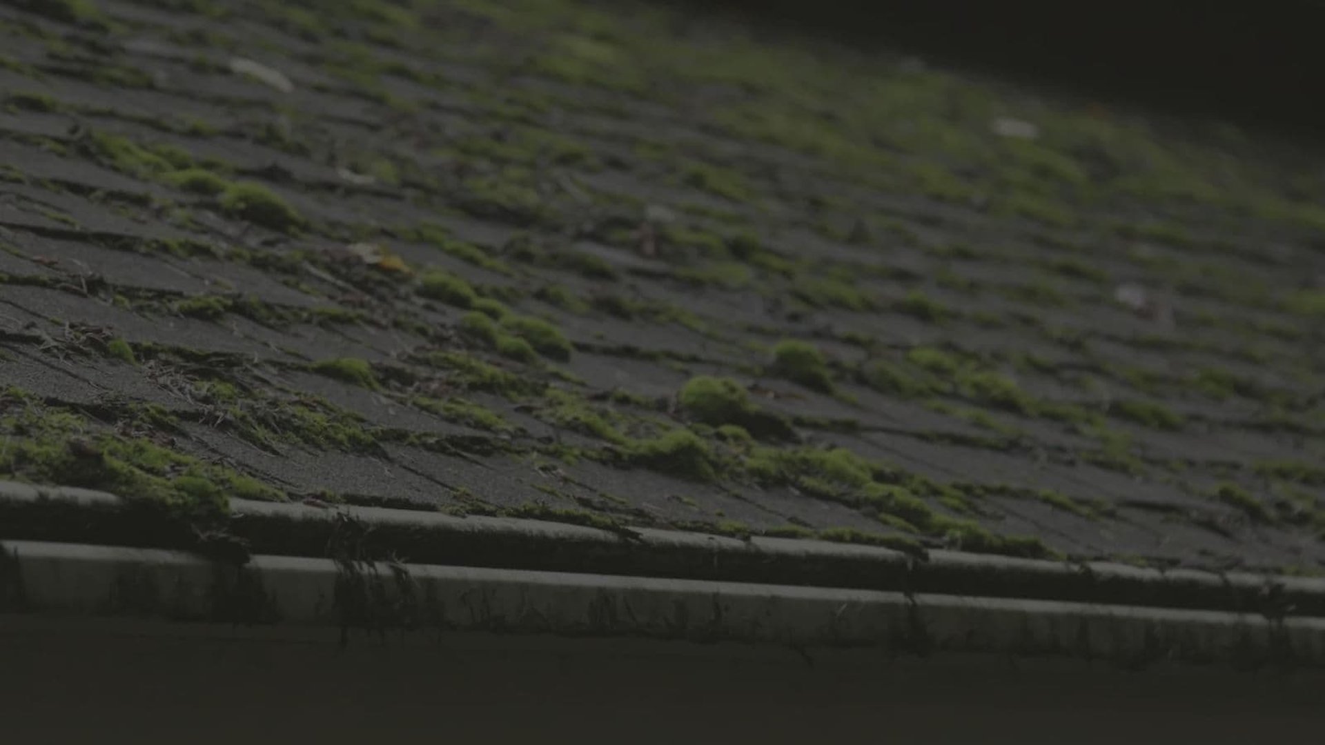 demoussage-toiture-nantes-loire-atlantique