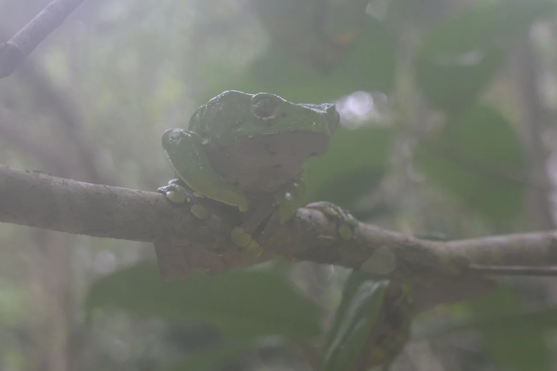 mountain range under blue sky