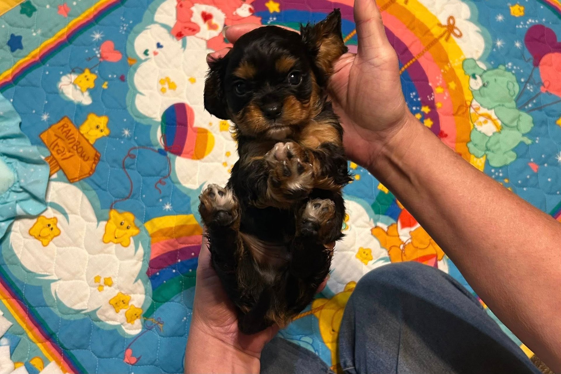 black and white bed linen