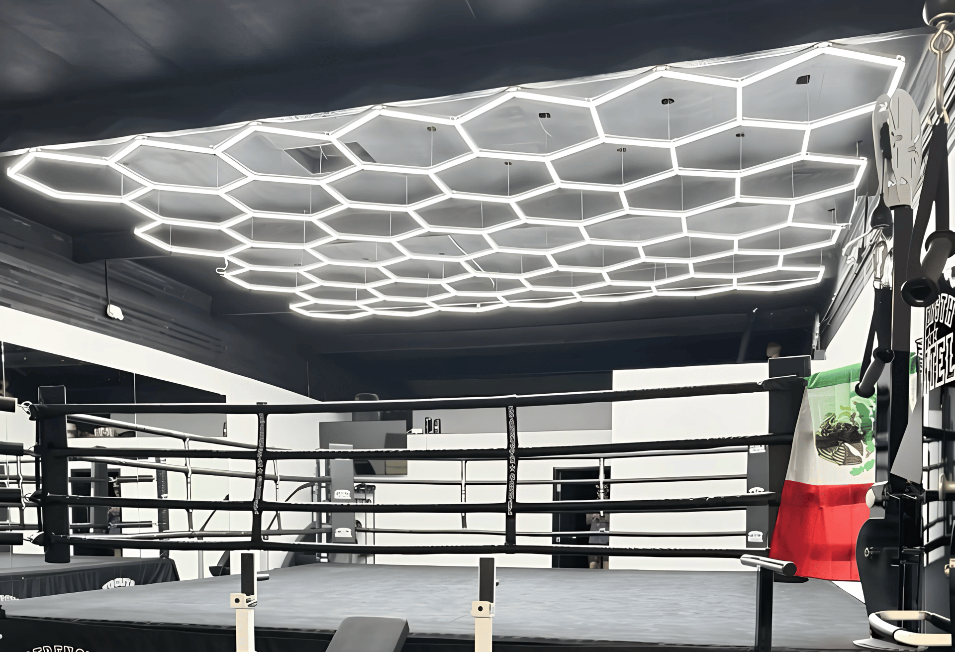 Gimnasio iluminacion modular hexagonal techo