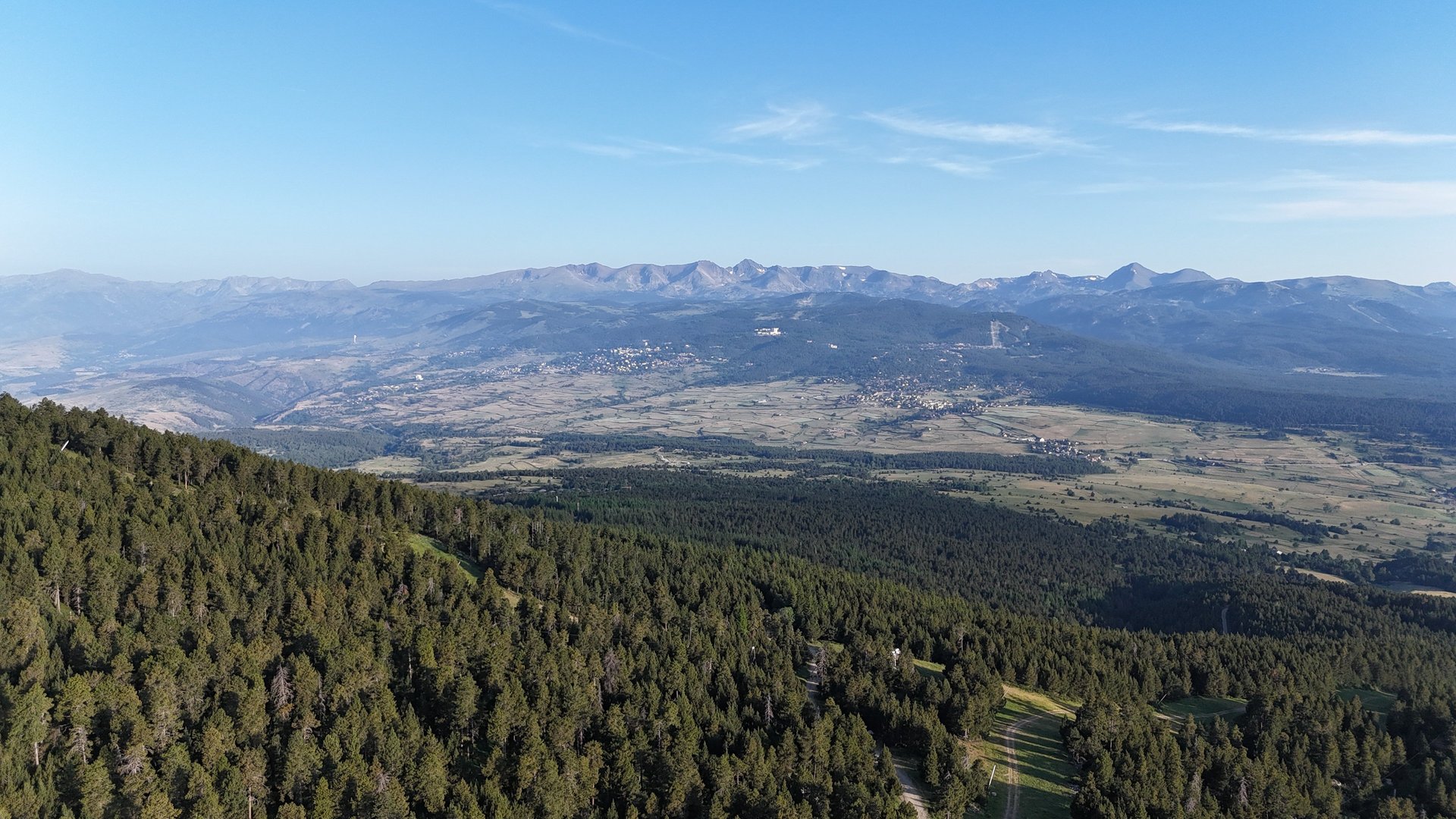 a grassy hill with trees and mountains in the background