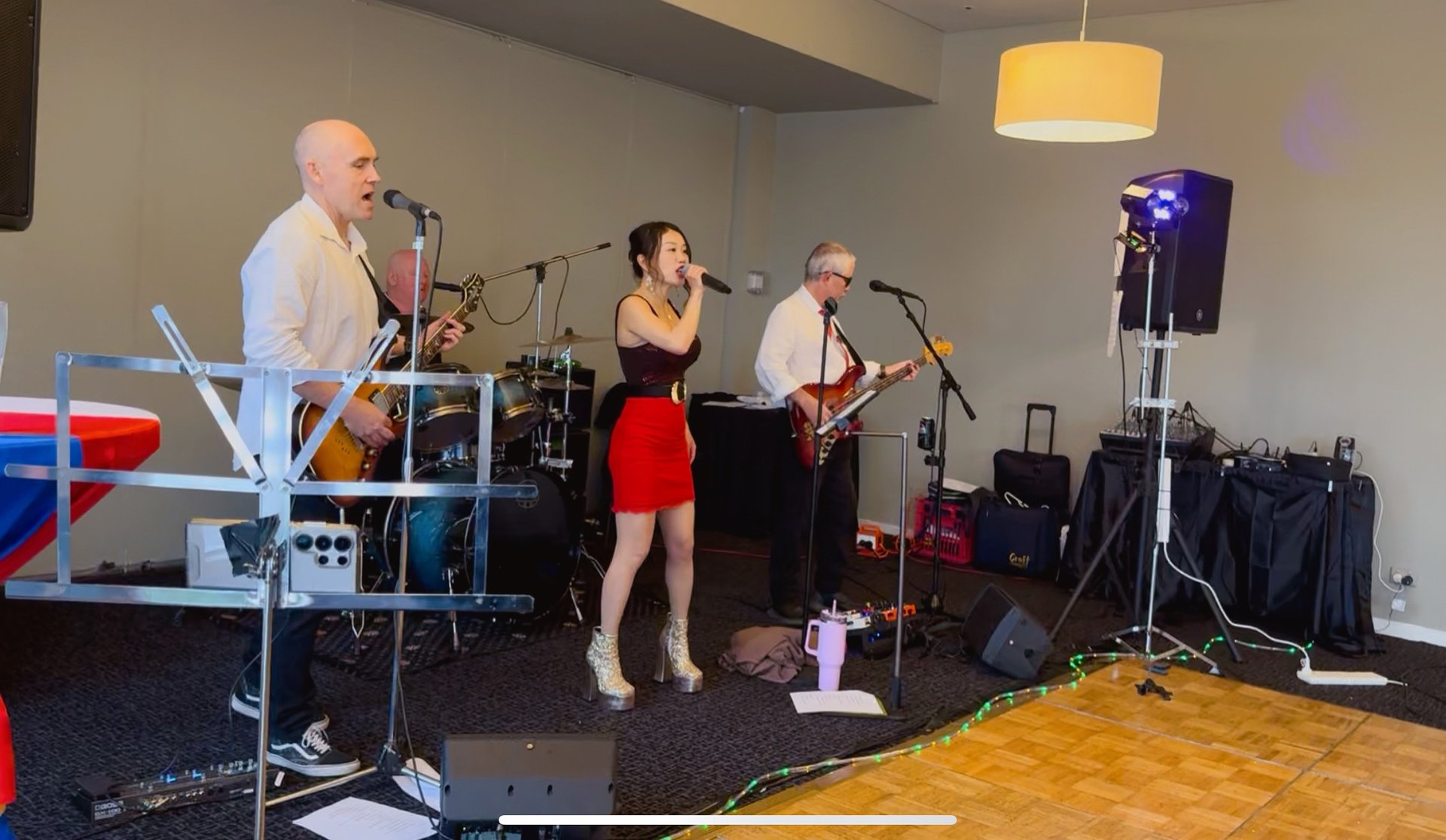 crowd of people at concert