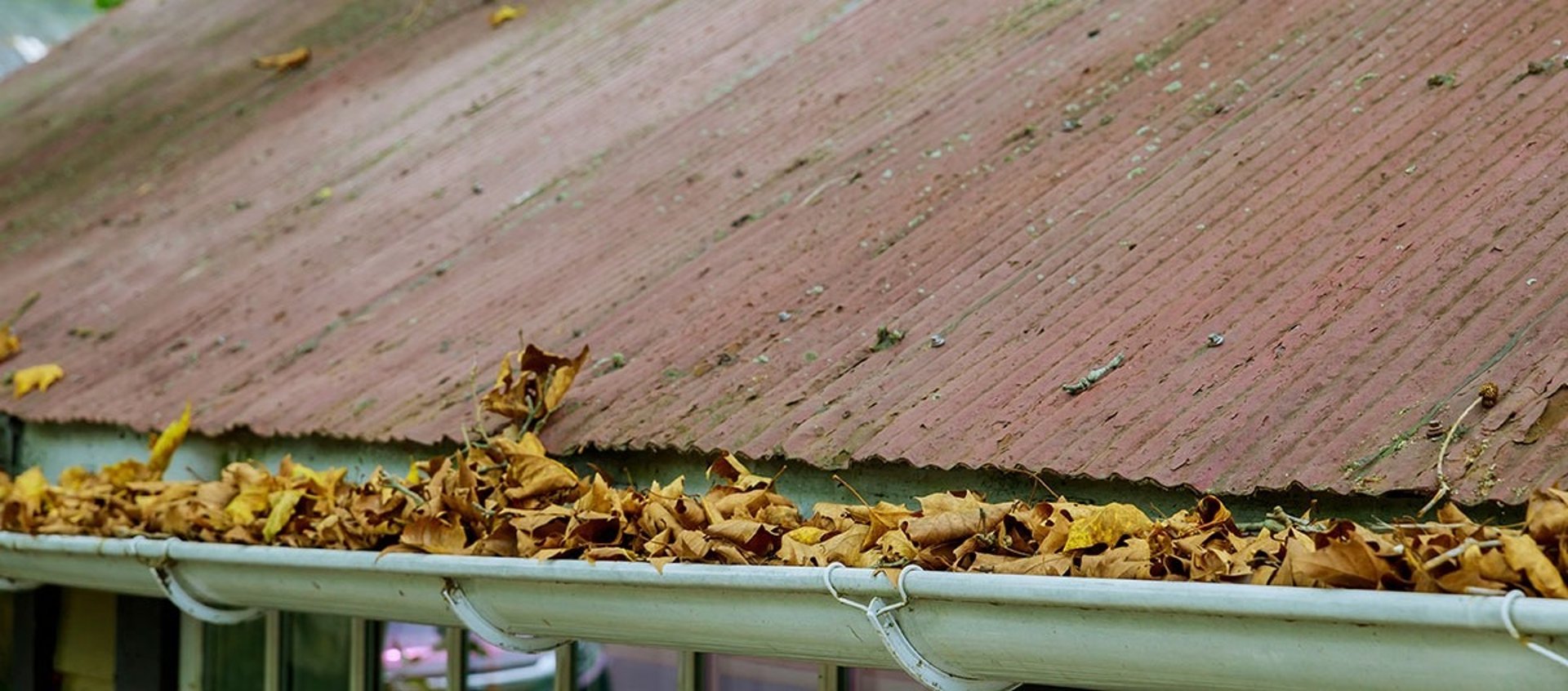 Gutter Cleaning Canberra Gutter Cleaning ACT