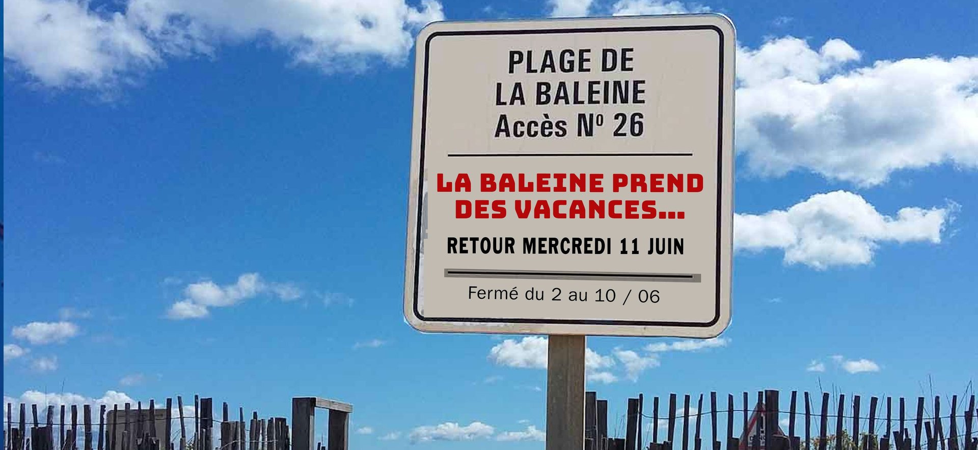 la Baleine à bascule imaginée