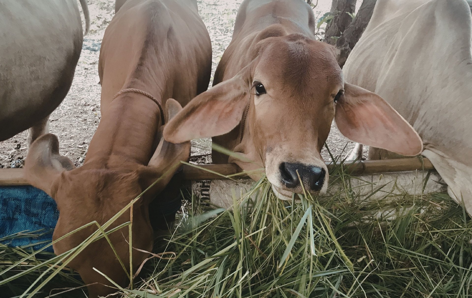 a person holding a makeup palette and a pencil