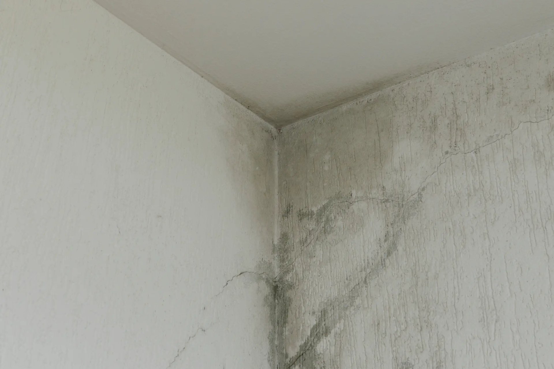 statybos-ekspertize-defektu-fiksavimas-ekstata