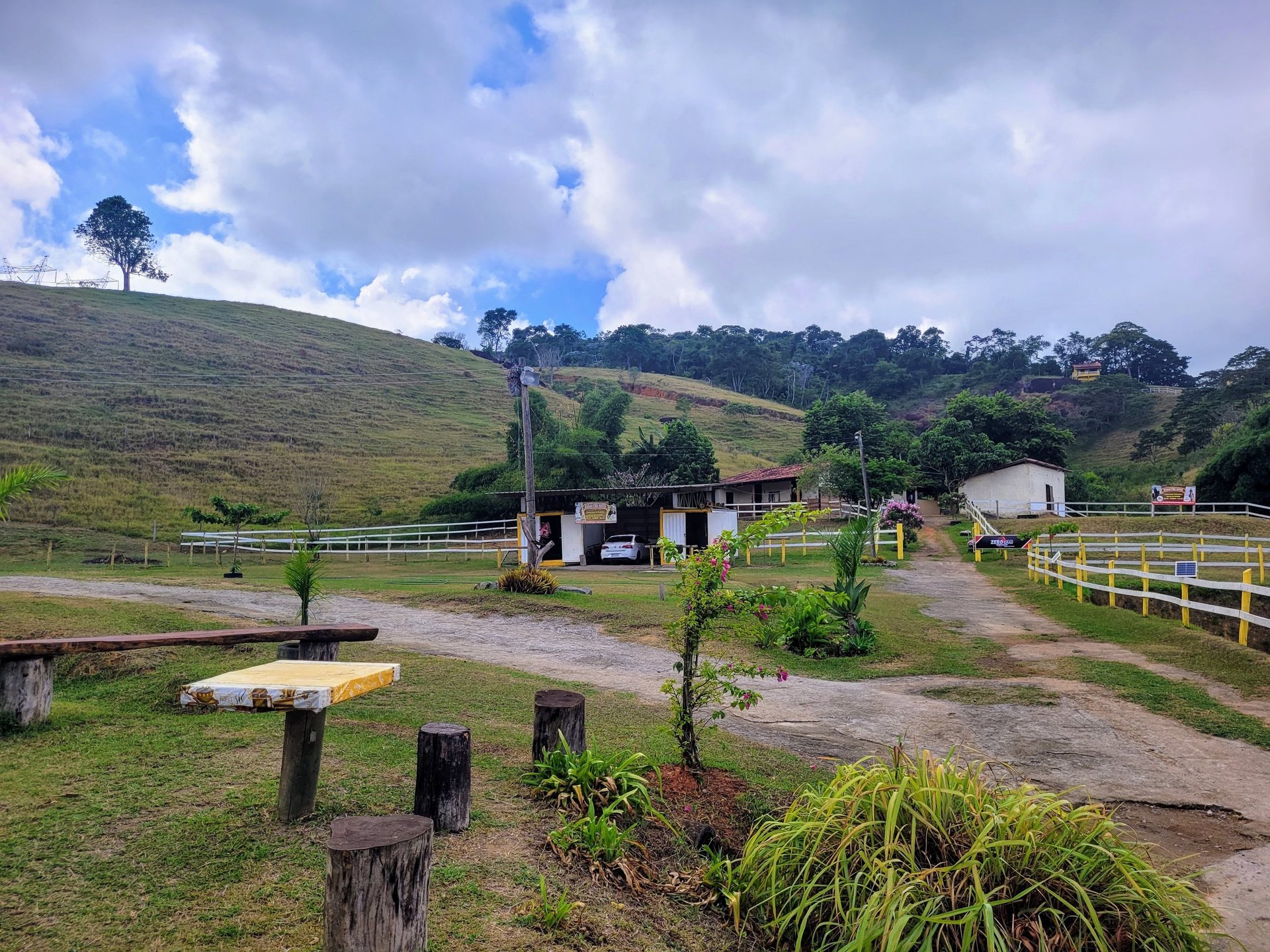 woman in red and white checkered dress shirt standing beside brown horse during daytime