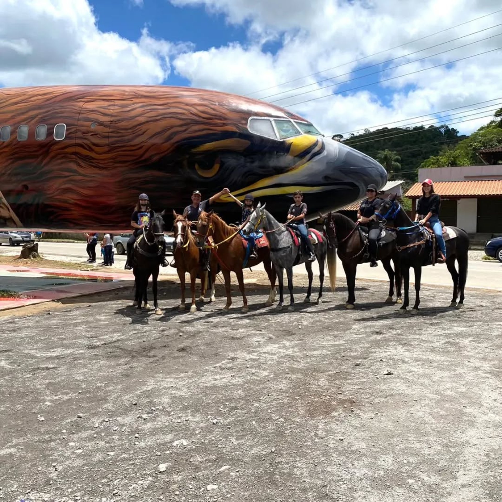 blog haras notas de fogo