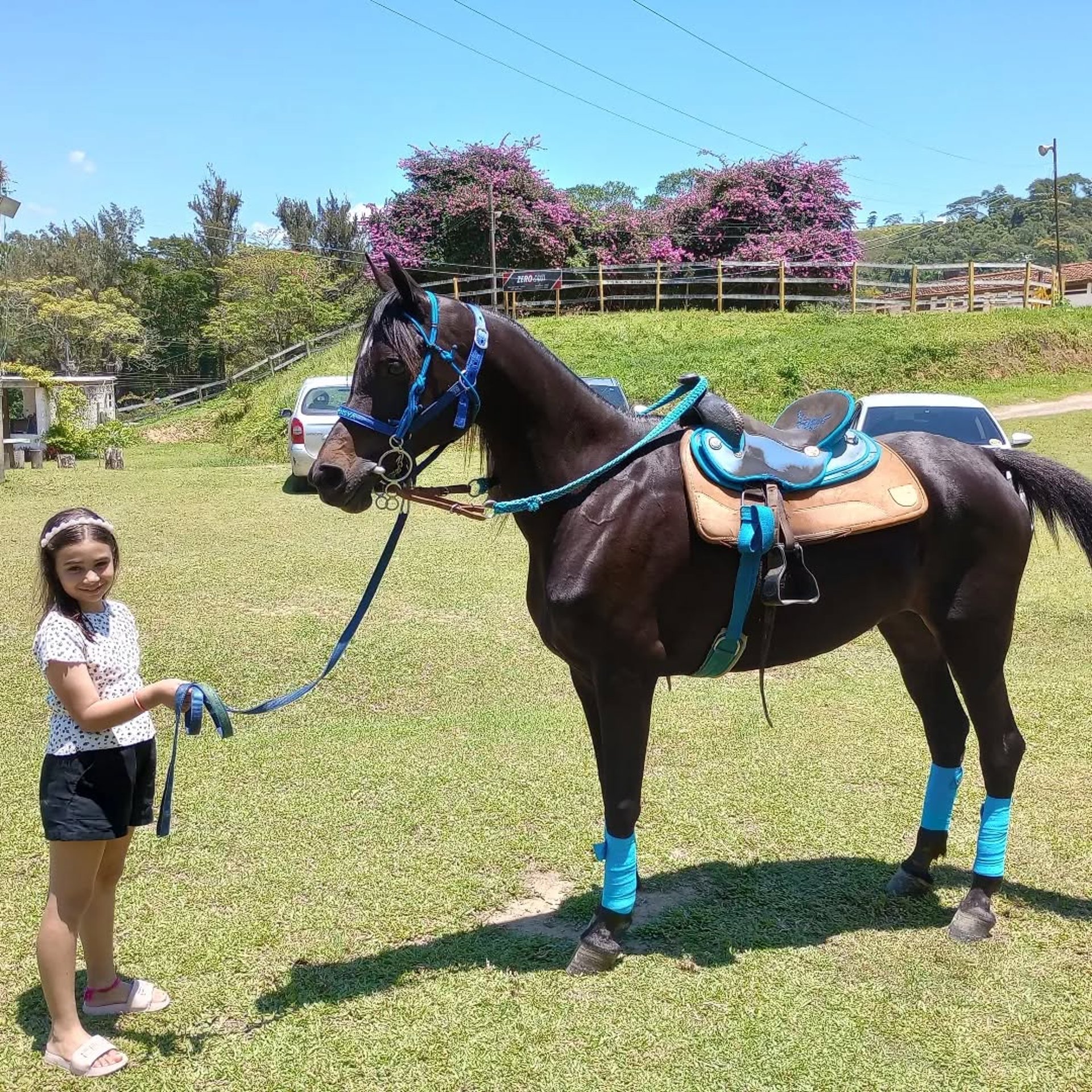 black and white bed linen