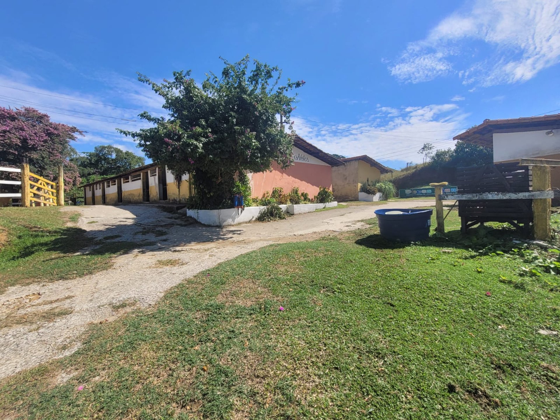 a couple of brown horses standing next to each other