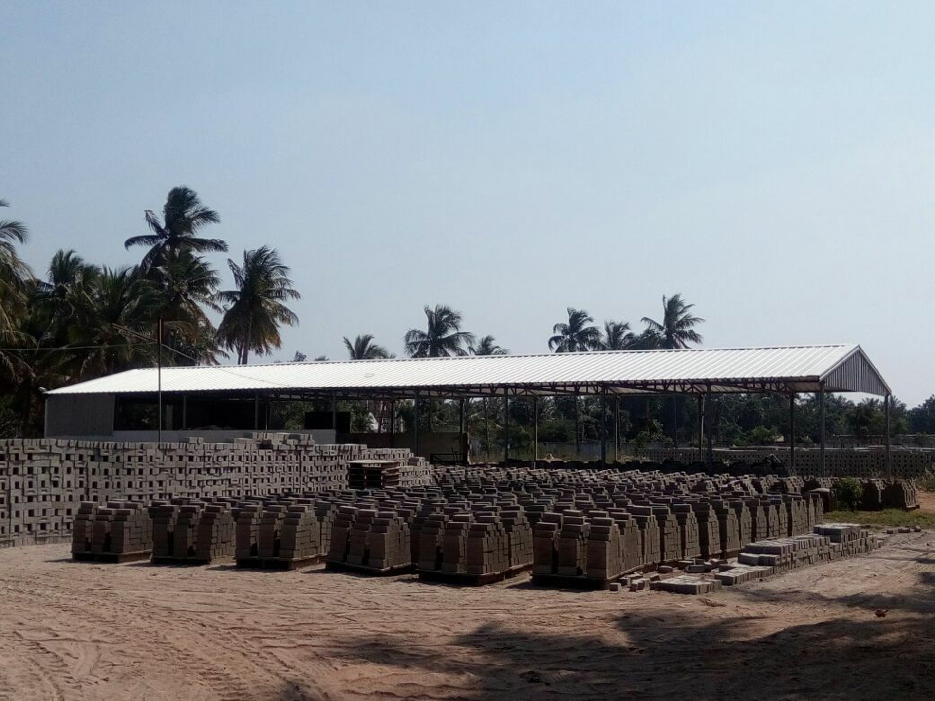 woman wearing yellow long-sleeved dress under white clouds and blue sky during daytime