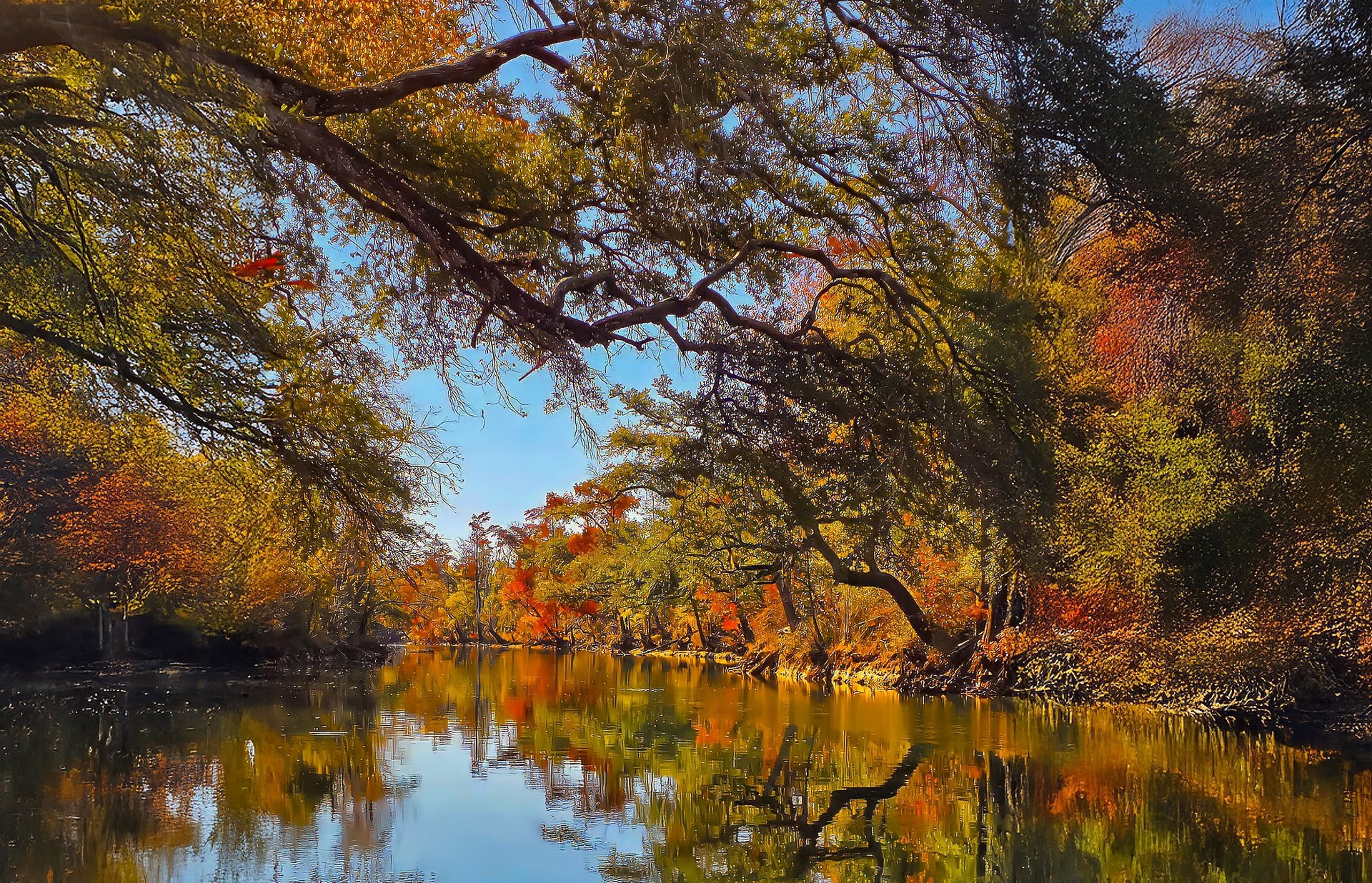 black blue and yellow textile