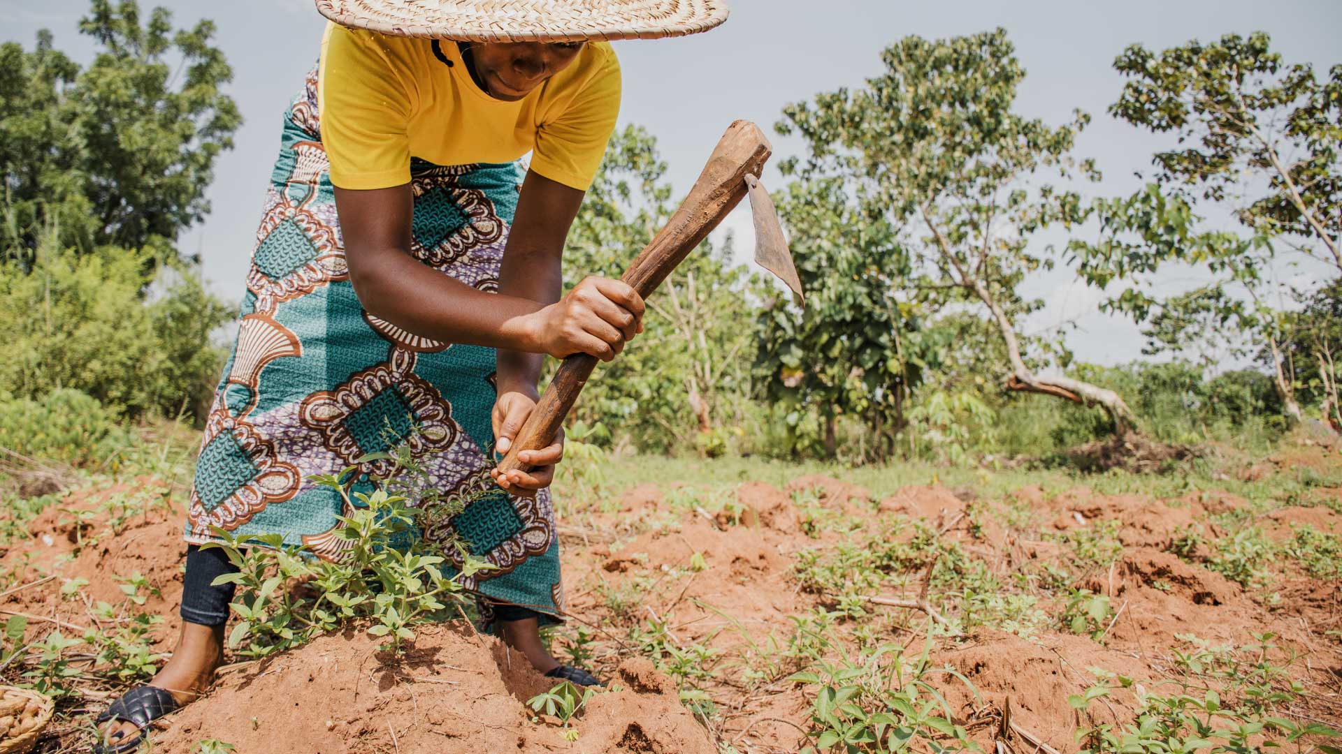 an abstract photo of a curved building with a blue sky in the background