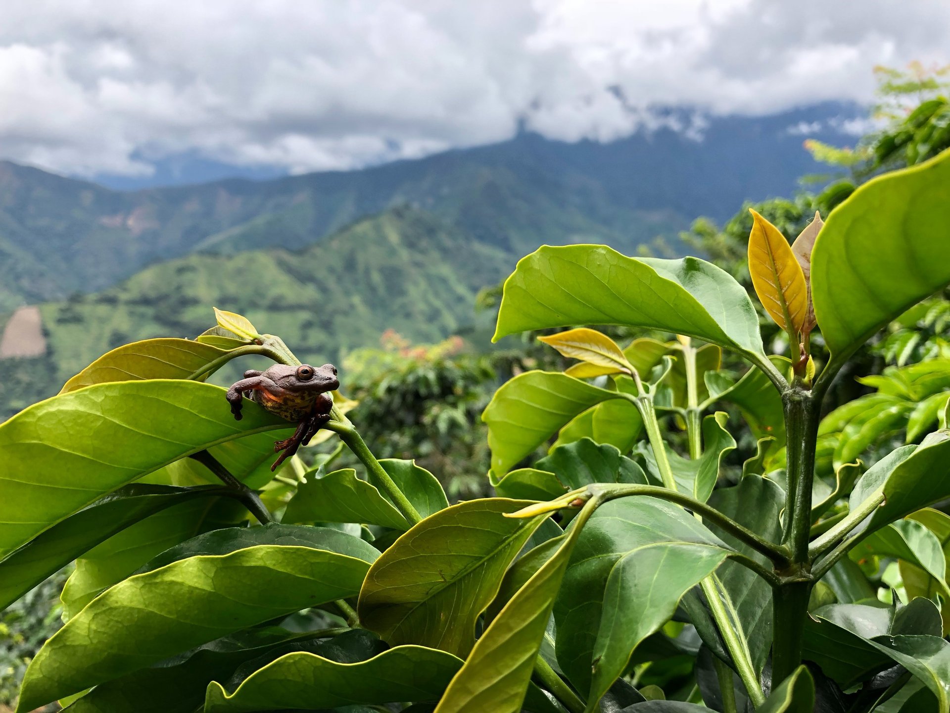 an abstract photo of a curved building with a blue sky in the background