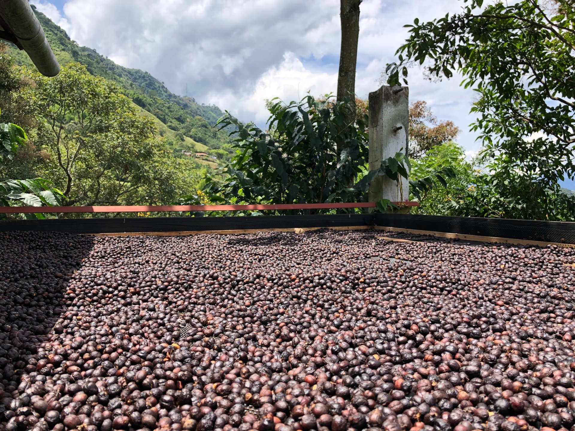an abstract photo of a curved building with a blue sky in the background
