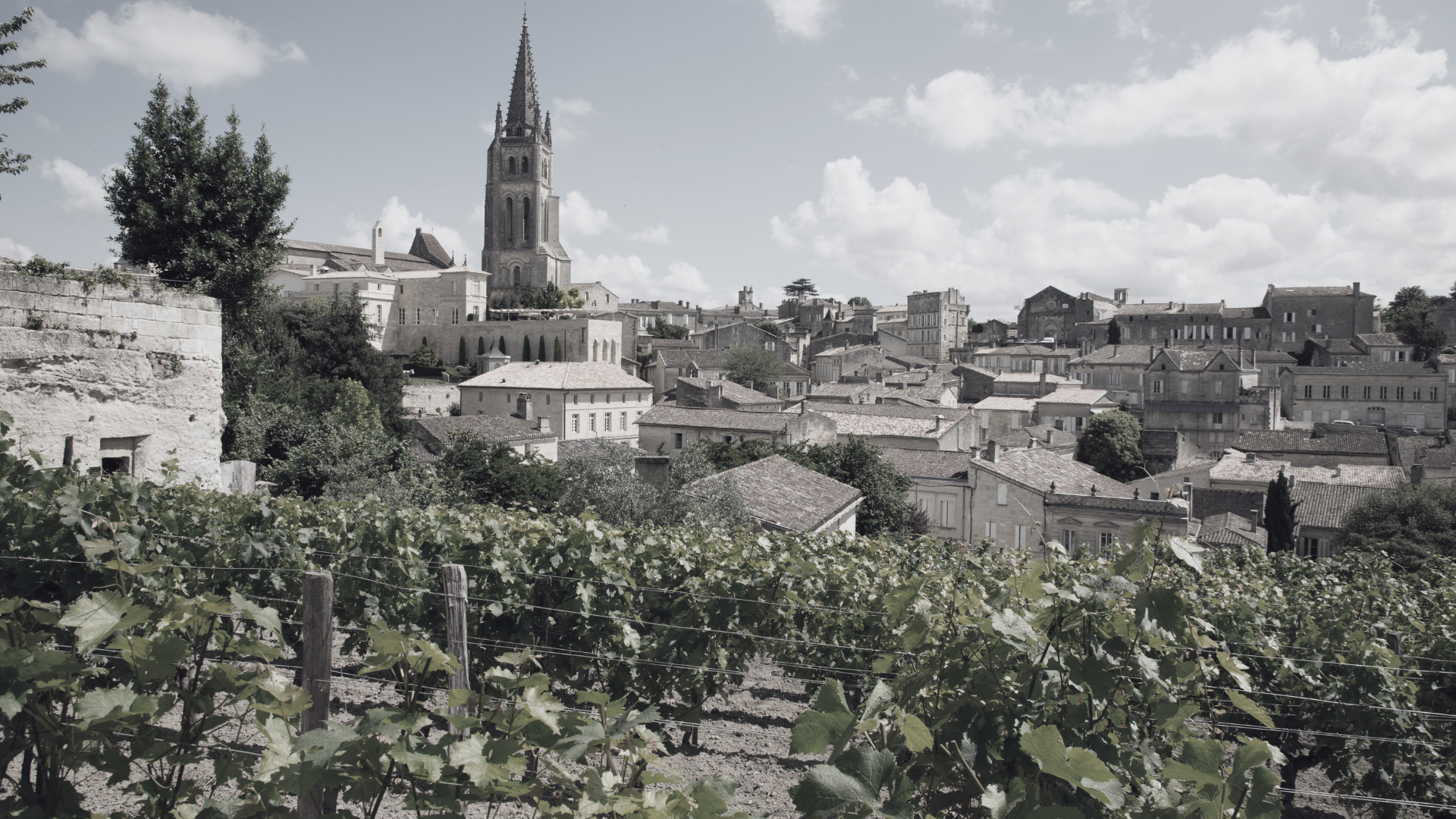 brown and white houses on green grass field during daytime