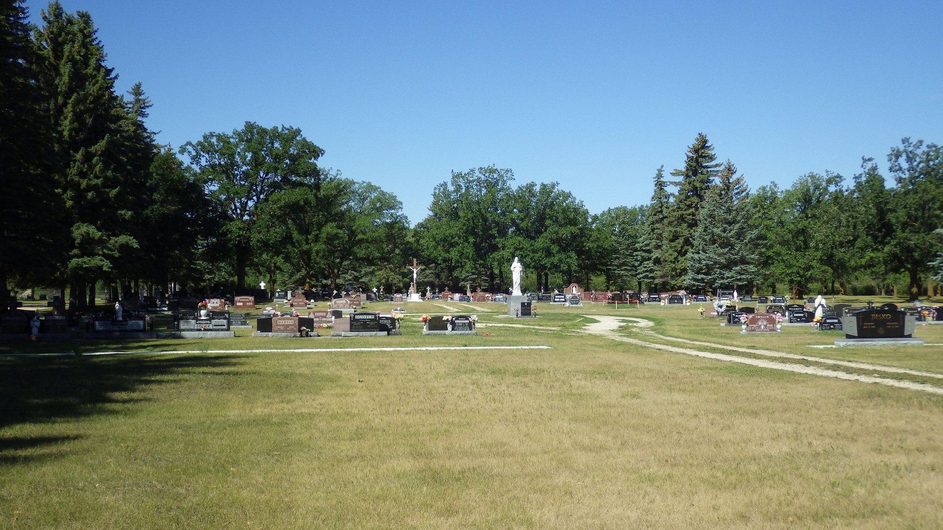 man standing surrounded with trees