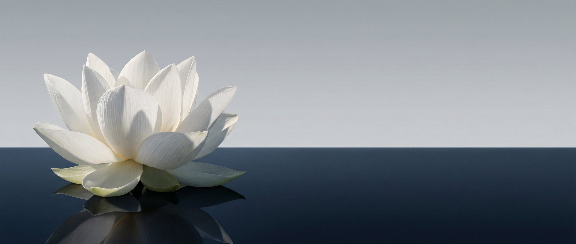 body of water under clear blue sky